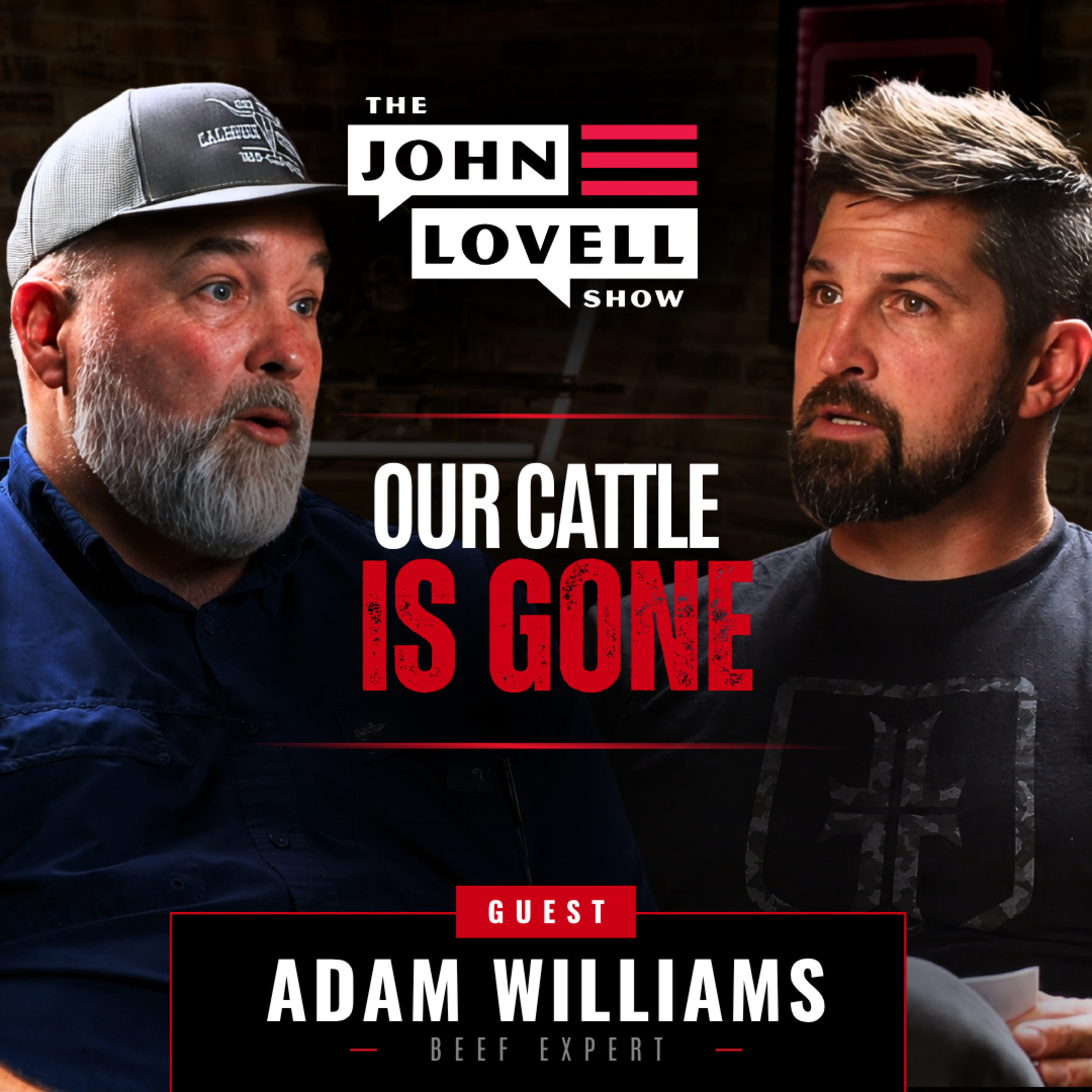Why Is America Running Out Of Cattle? | Beef Expert- Adam Williams