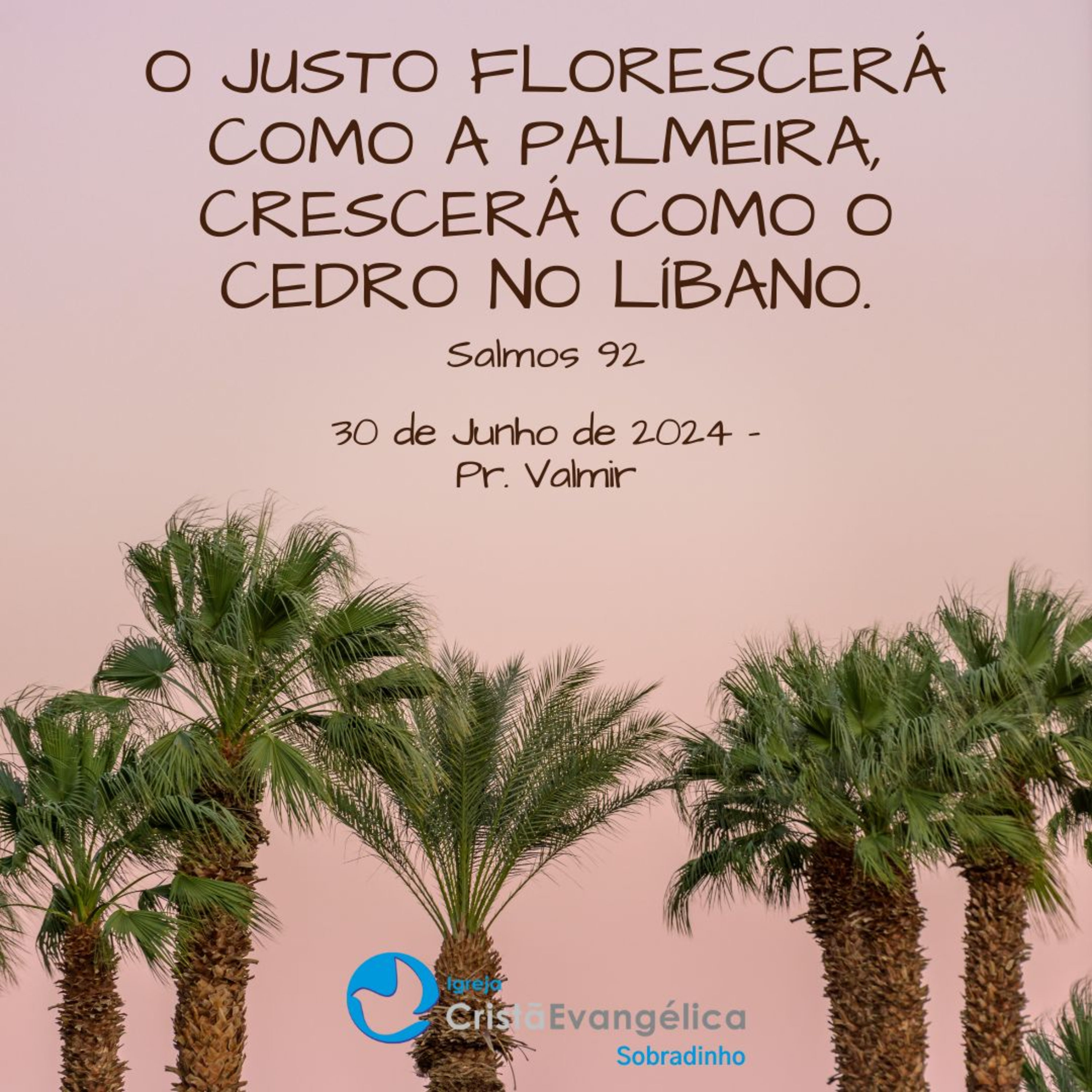 ICES - O Justo Florescerá como a Palmeira; Crescerá como o cedro no Líbano. - Pr. Valmir - Palavra Ministrada em 30/06/2024 episode artwork