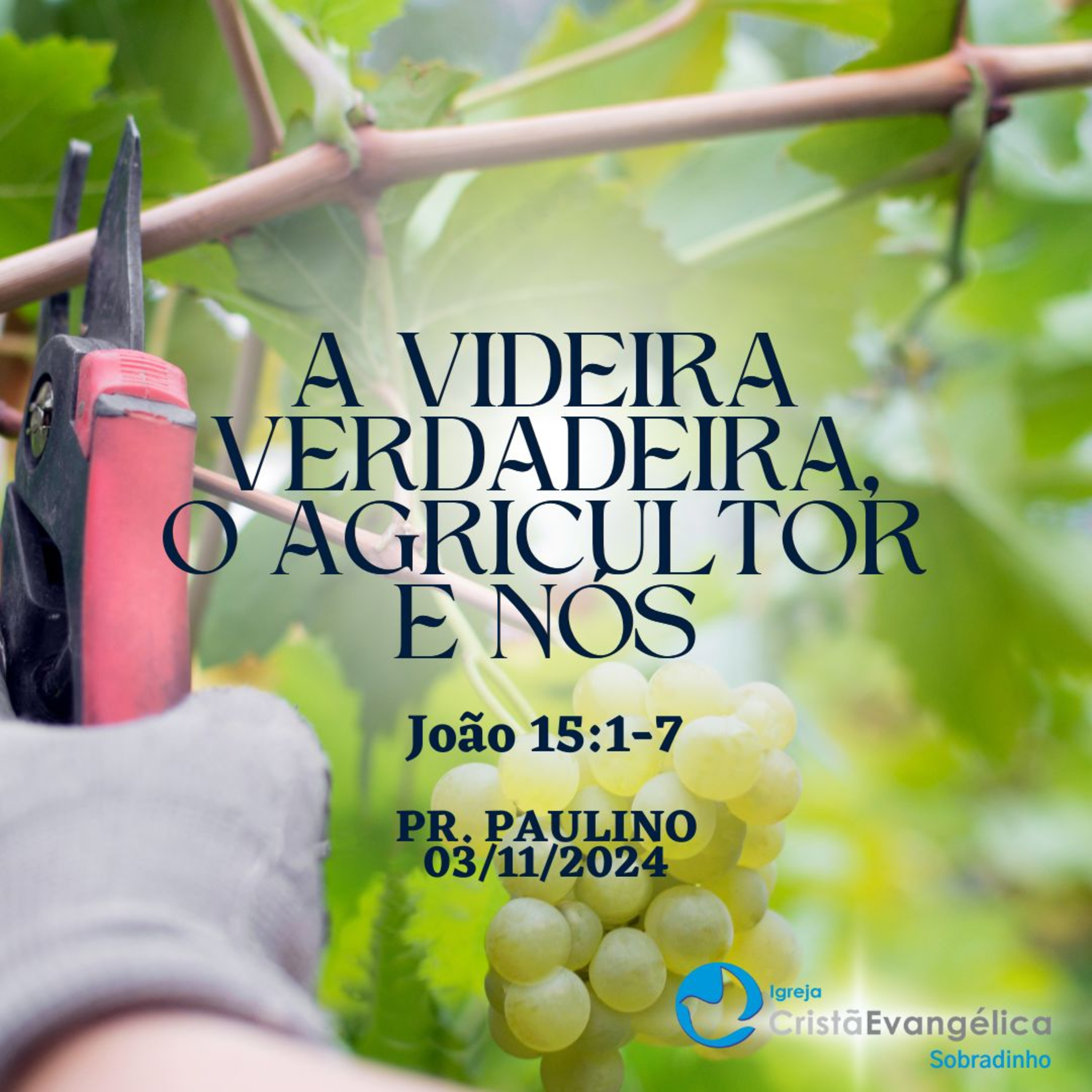 A Videira Verdadeira, o Agricultor e Nós - Pr. Paulino - Palavra Ministrada em 03/11/2024 episode artwork