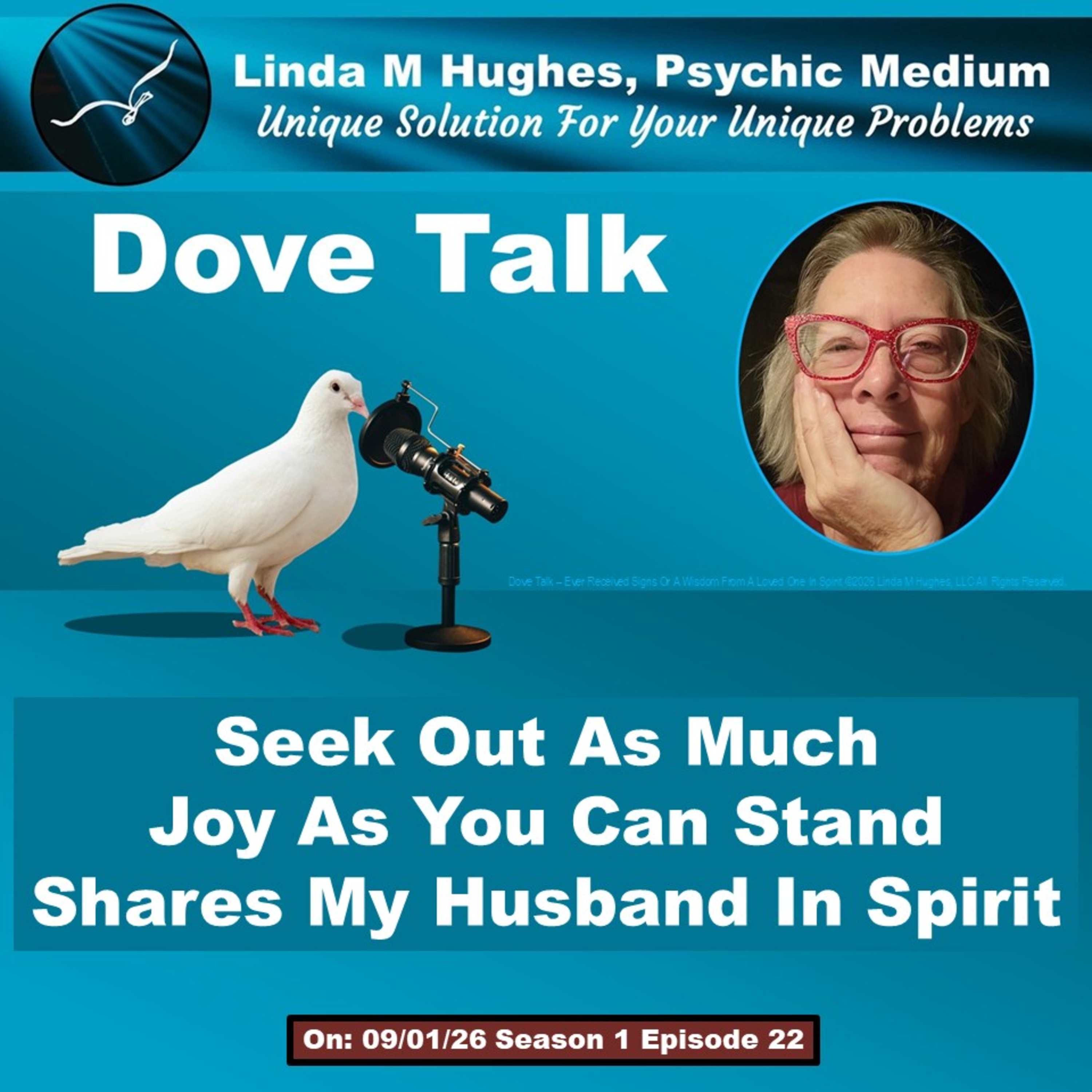 Seek Out As Much Joy As You Can Stand Shares My Husband In Spirit episode artwork