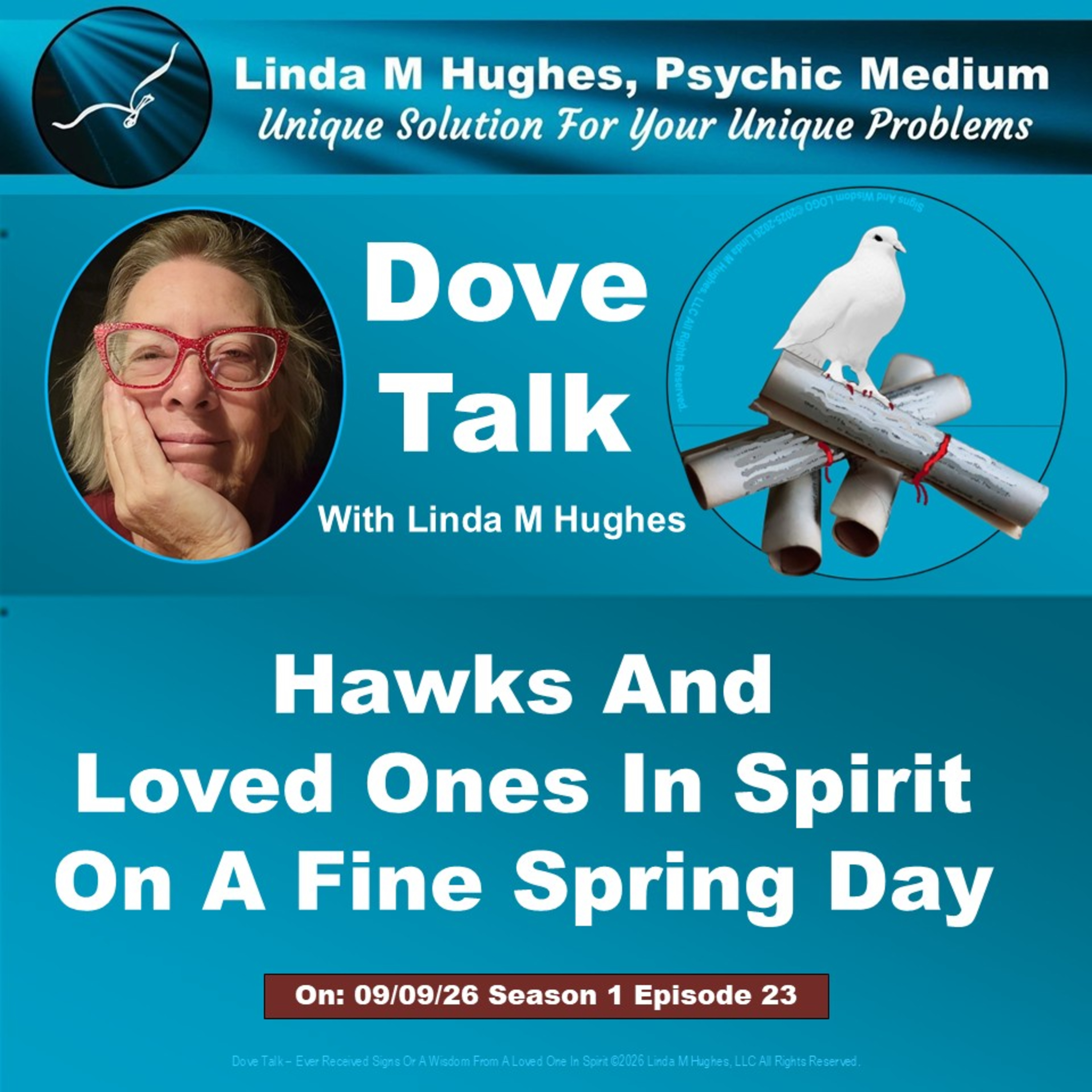 Hawks And Loved Ones In Spirit On A Fine Spring Day episode artwork