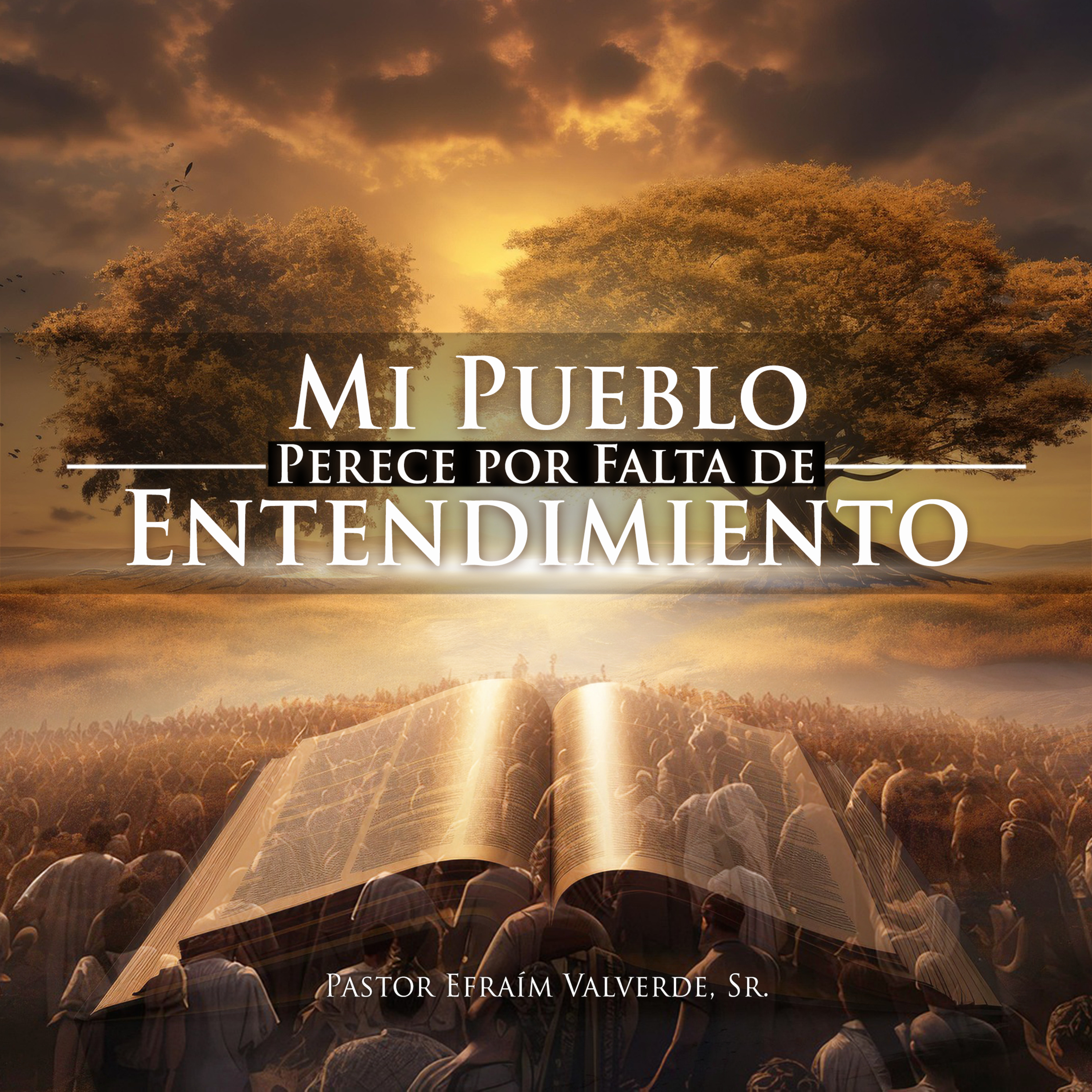 Mi pueblo Perece por Falta de Entendimiento | Pastor Efraím Valverde, Sr. episode artwork