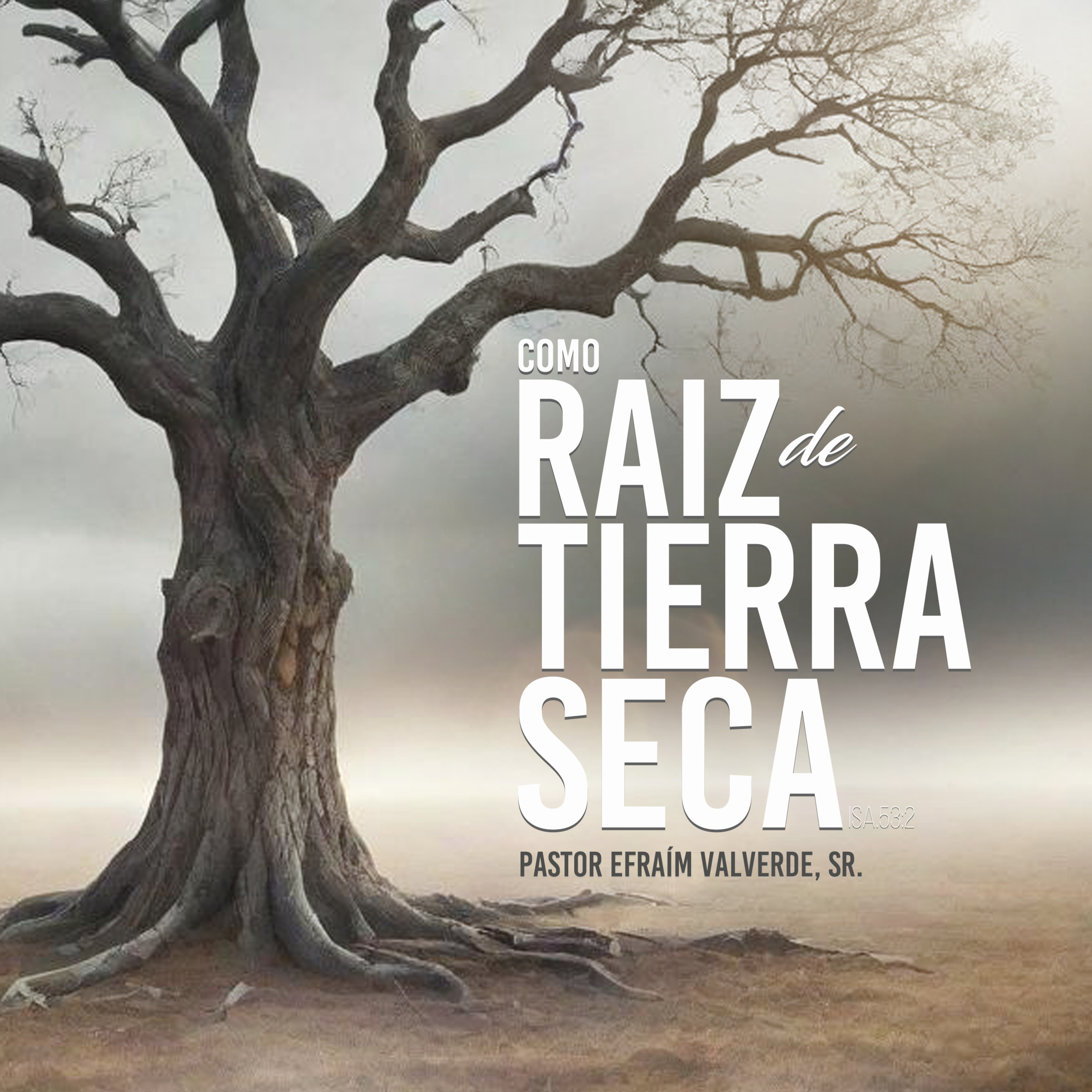Como Raiz de Tierra Seca | Pastor Efraím Valverde, Sr. episode artwork