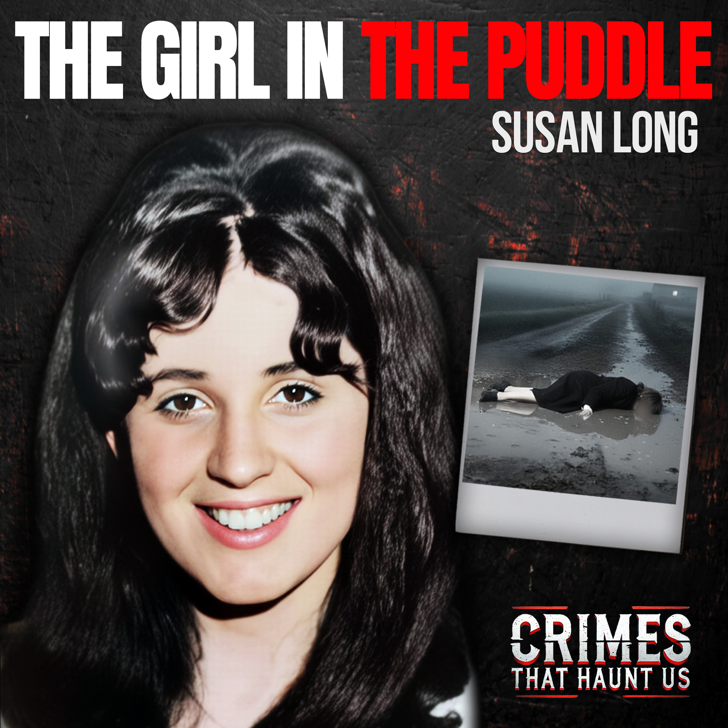 The Last Bus: Susan Long Never Made It Home - Susan Long Cold Case Murder episode artwork