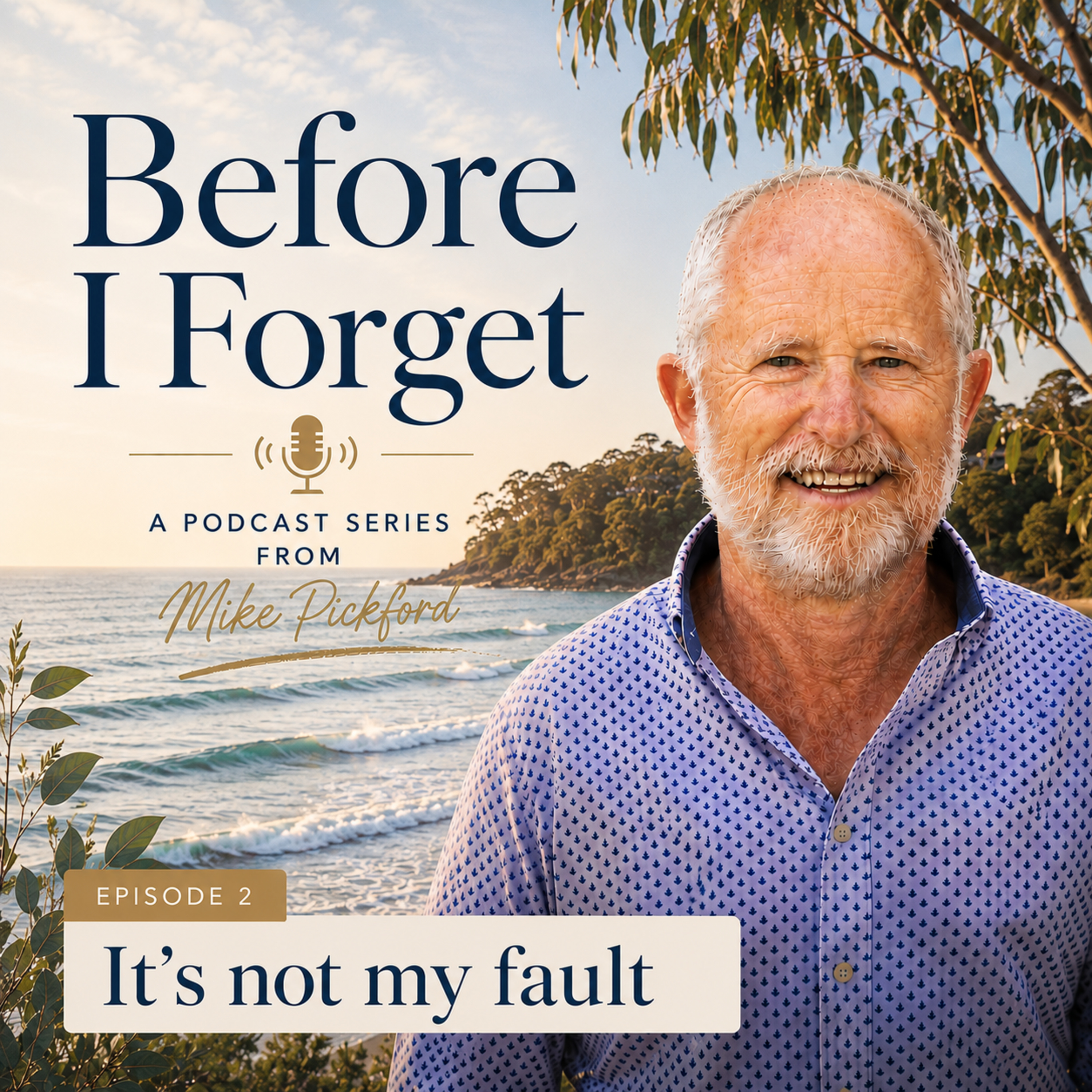 It's not my fault episode artwork