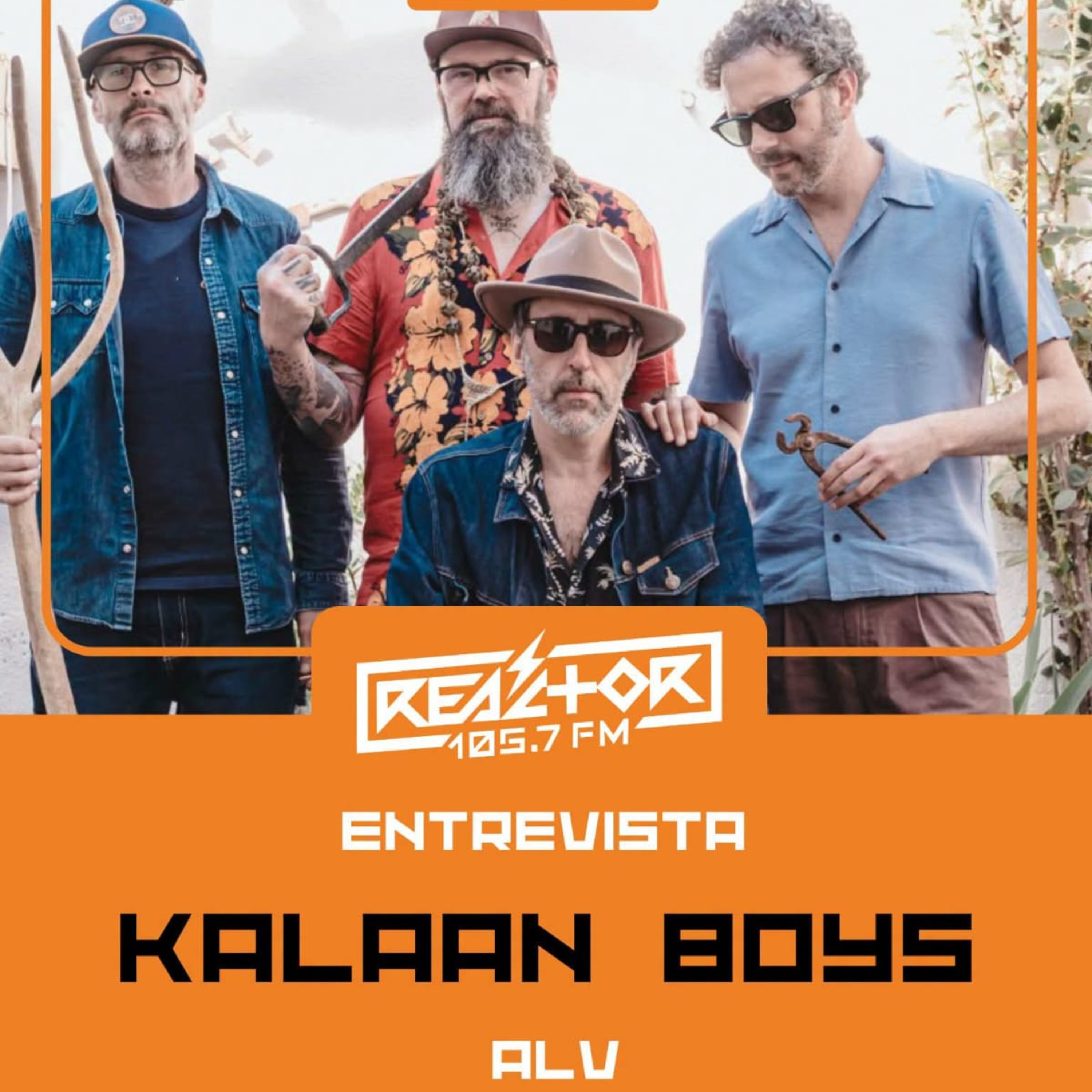 Portada de ALV