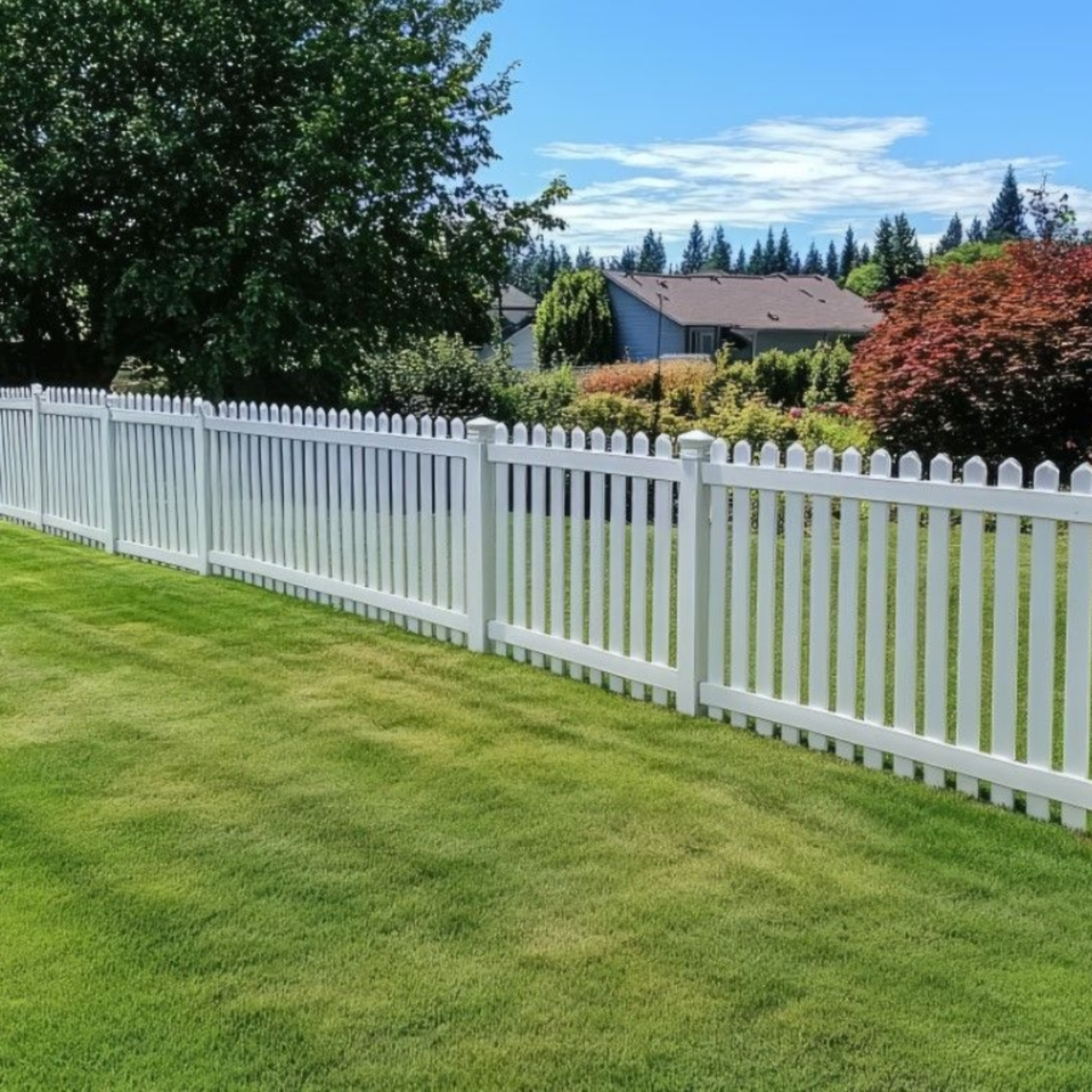 Fencing Contractor Gainesville episode artwork