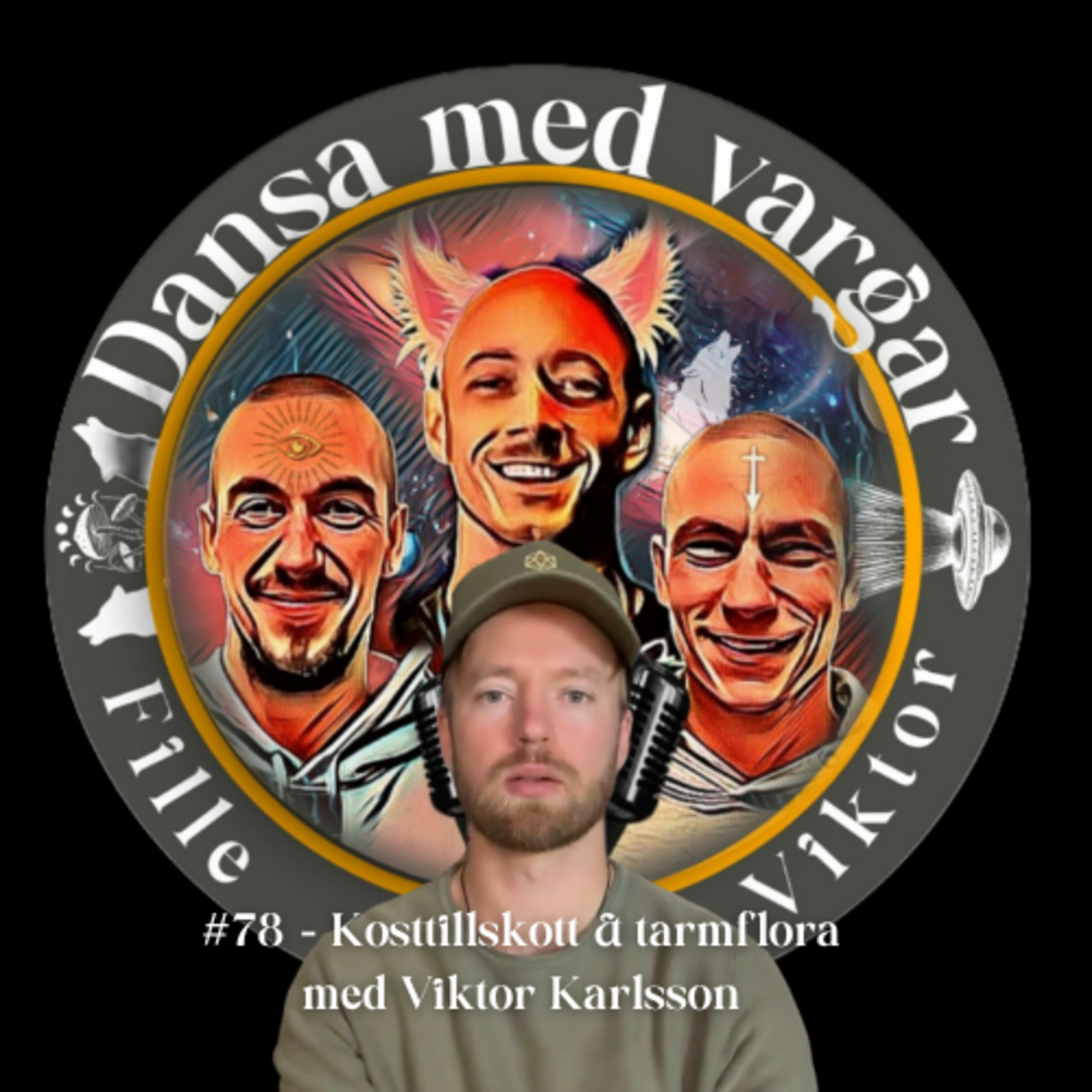 #78 - Kosttillskott & tarmflora med Viktor Karlsson episode artwork