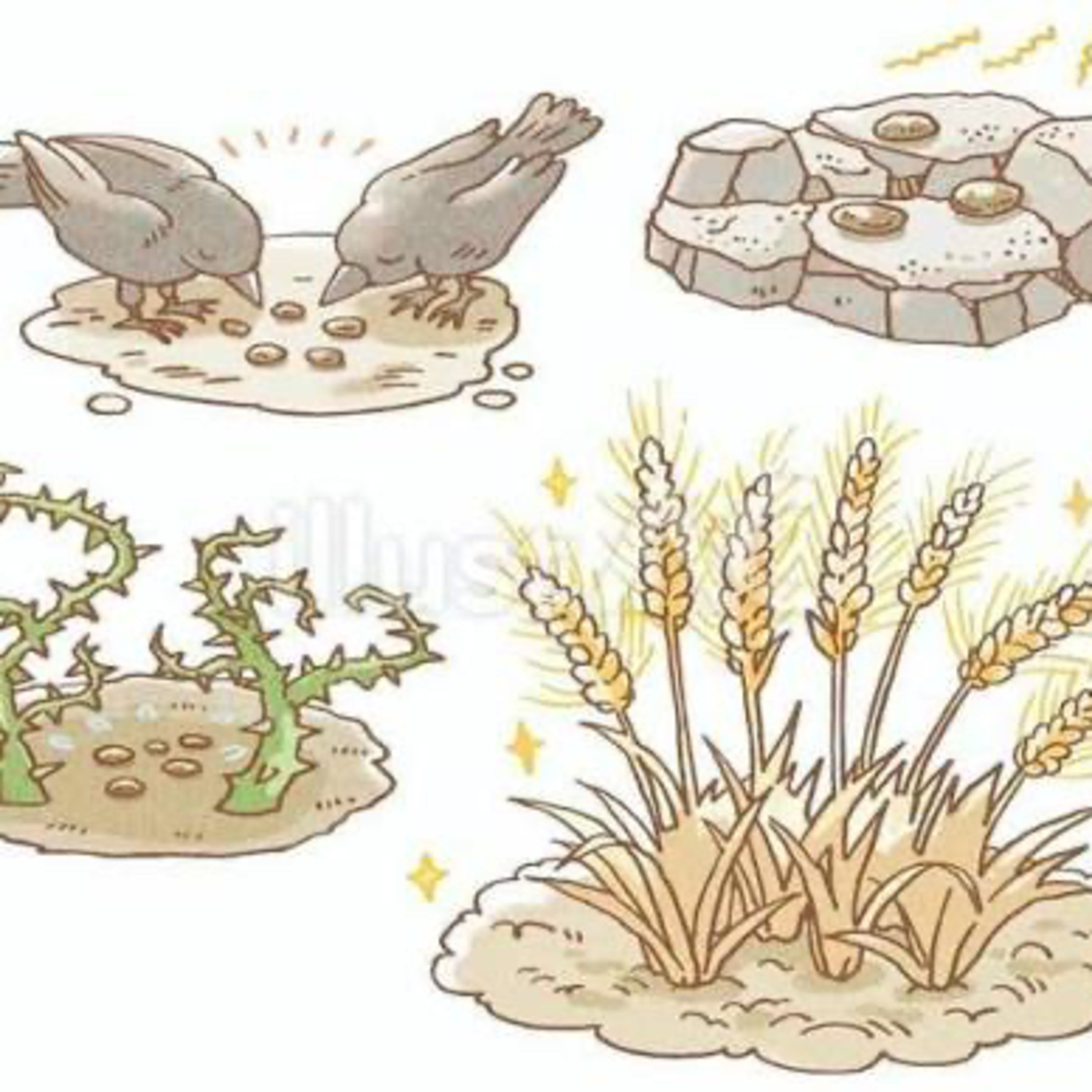 Cover-to-Cover | Luke 8:1-15 | Parable of the Sower episode artwork