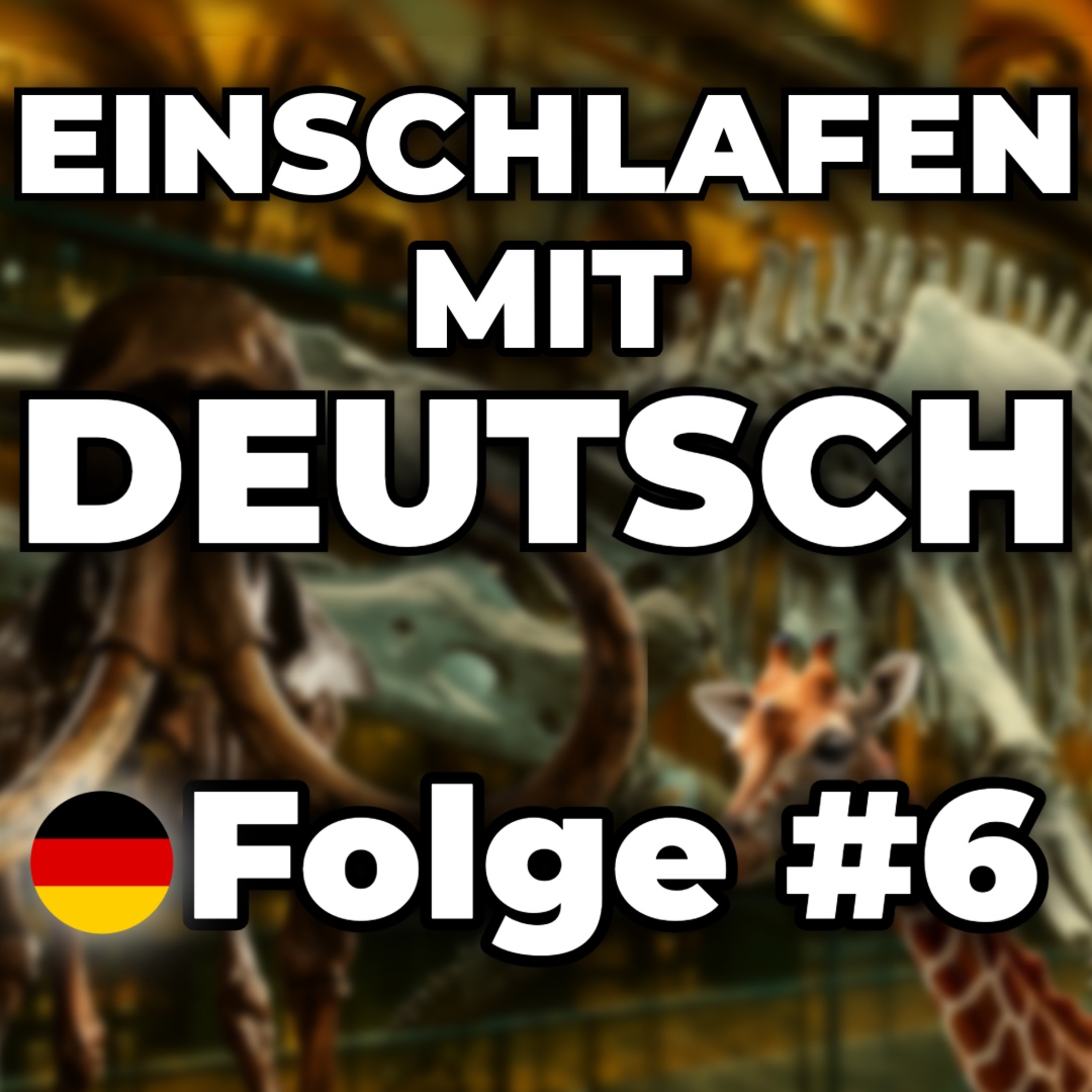 Ein Nachmittag im Naturkundemuseum 🌙 | Einschlafen mit Deutsch #6 episode artwork