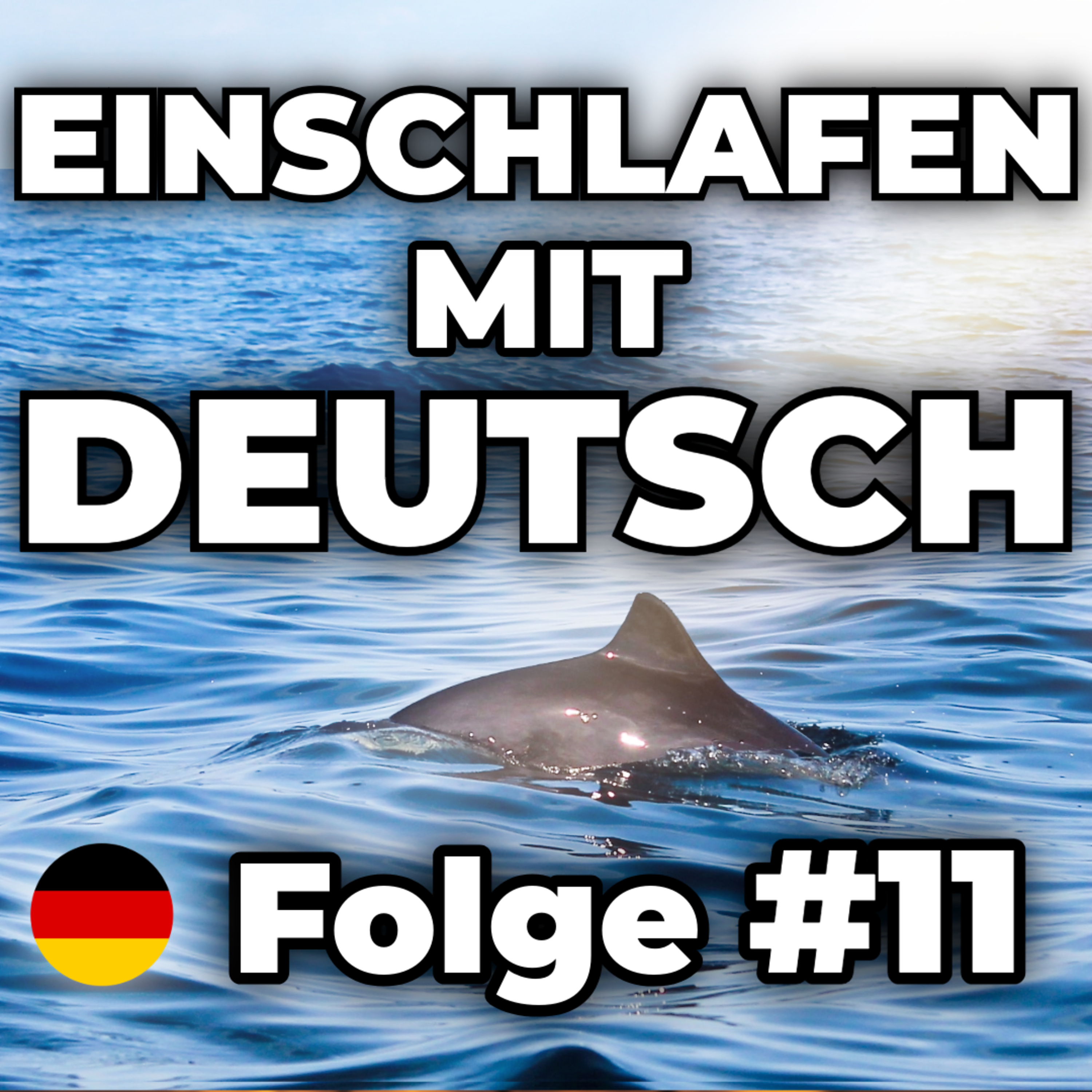 Eine Bootsfahrt zu den Schweinswalen 🌊 | Einschlafen mit Deutsch #11 episode artwork