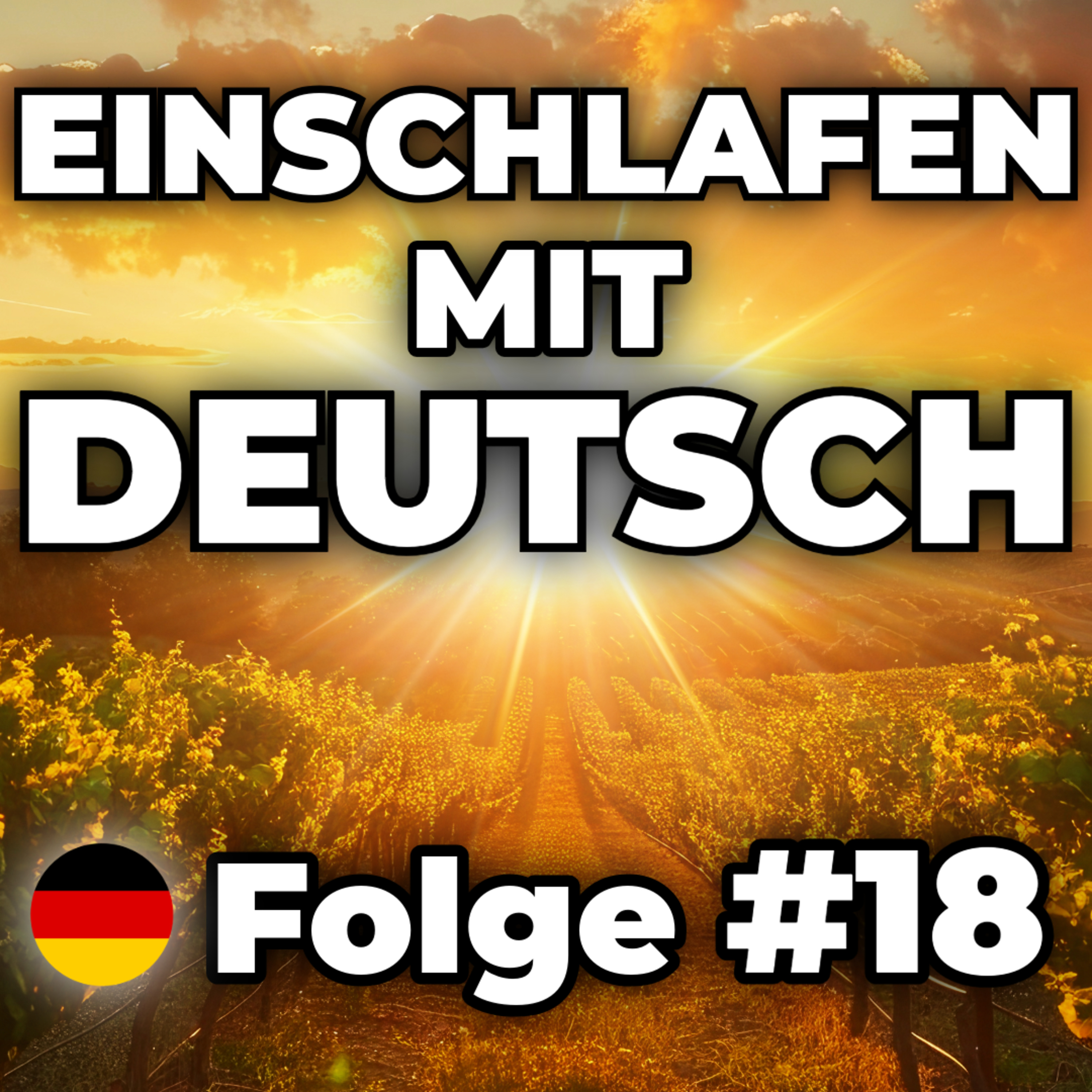 Ein Abend im Weinberg 🍇 | Einschlafen mit Deutsch #18