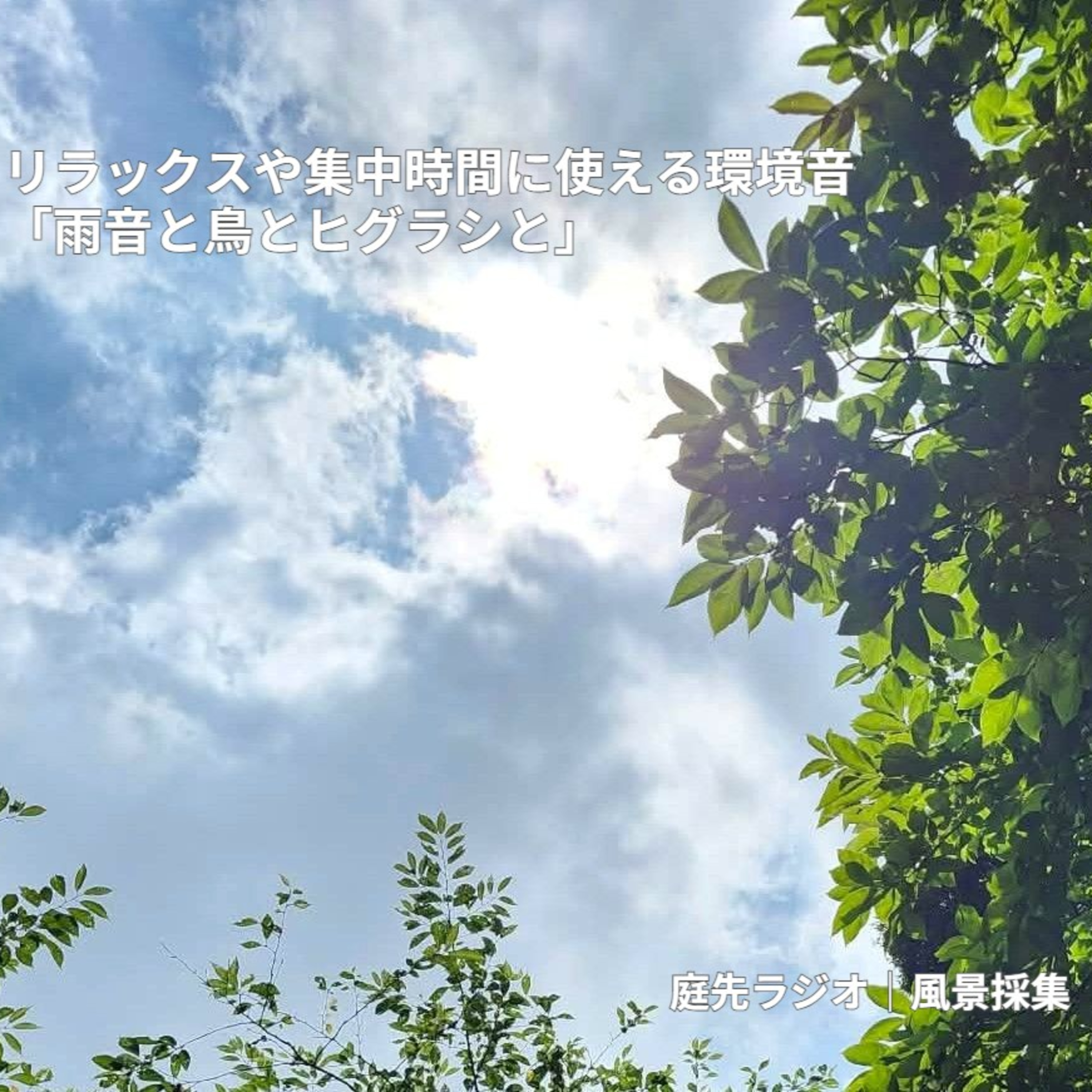 リラックスや集中時間に使える環境音「雨音と鳥とヒグラシと」 episode artwork
