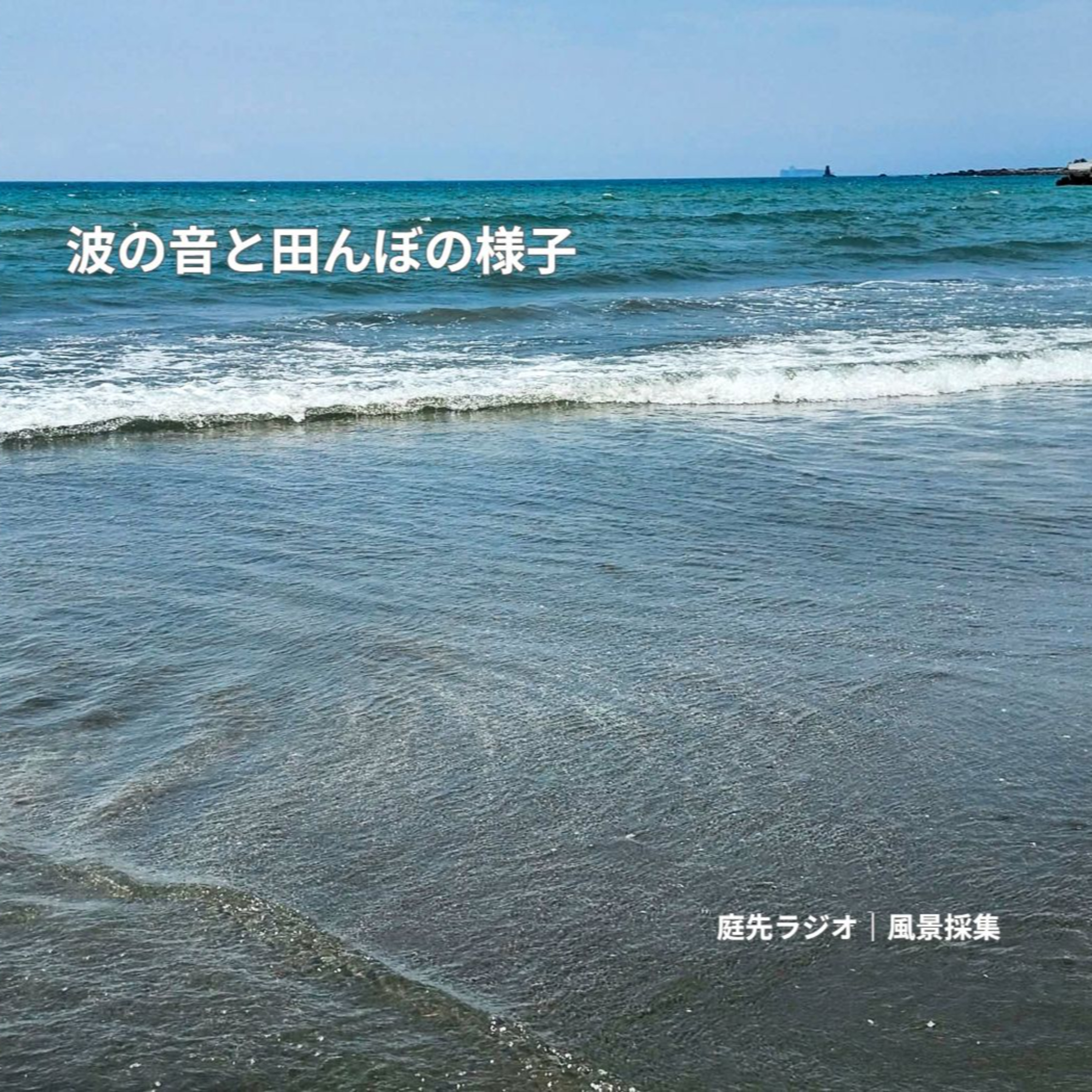 波の音と田んぼの様子 episode artwork