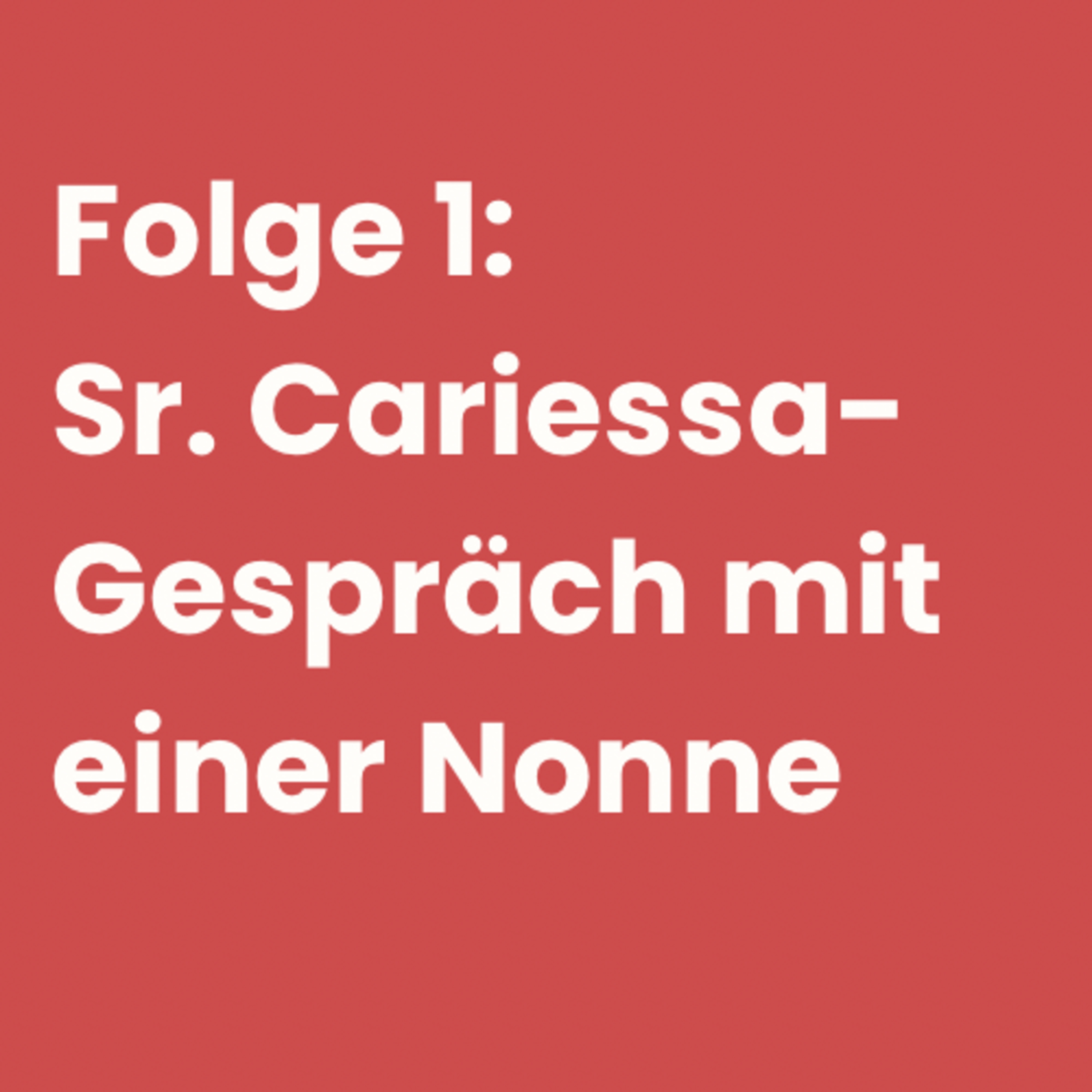 Gespräch mit einer Nonne episode artwork