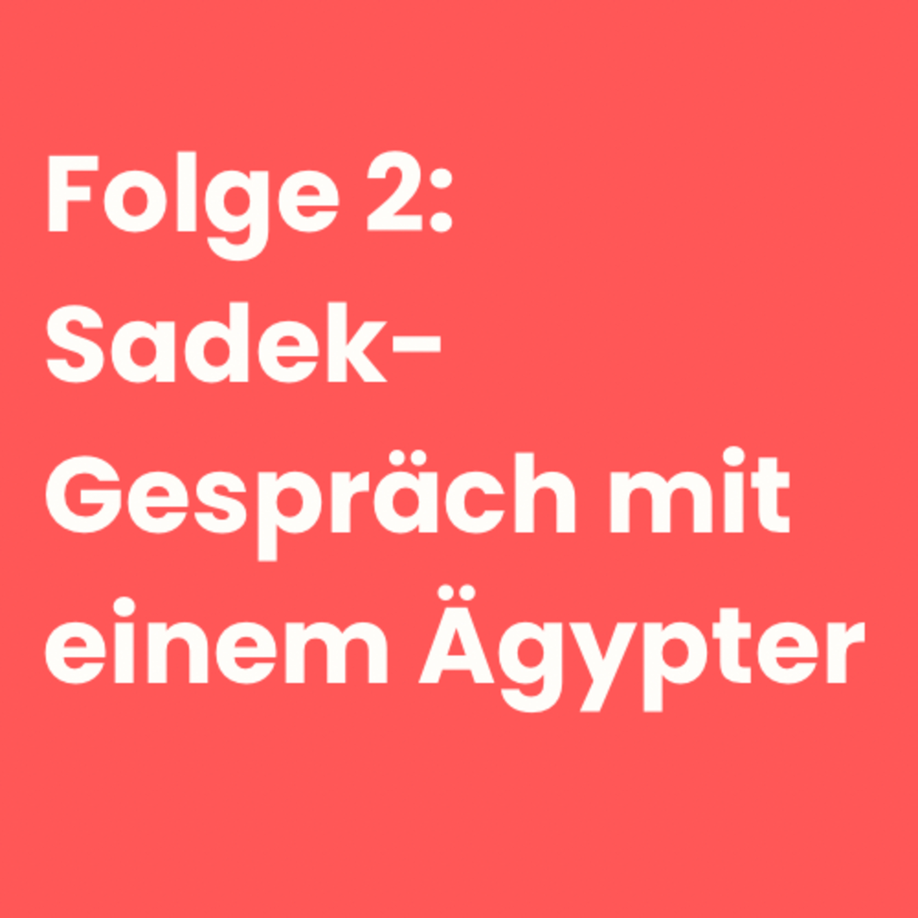 Gespräch mit einem Ägypter episode artwork