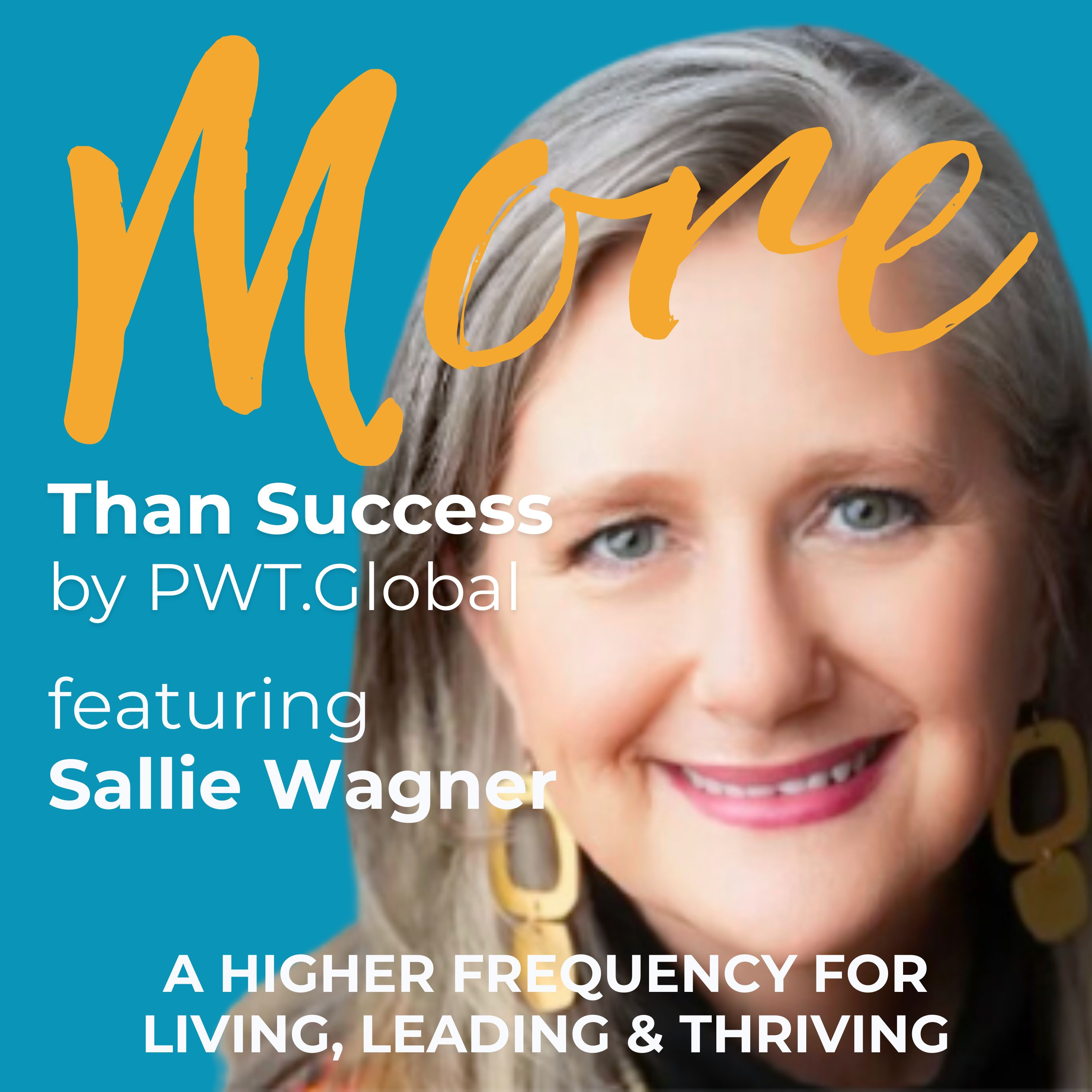 The Midlife Brain: More Than Success episode artwork