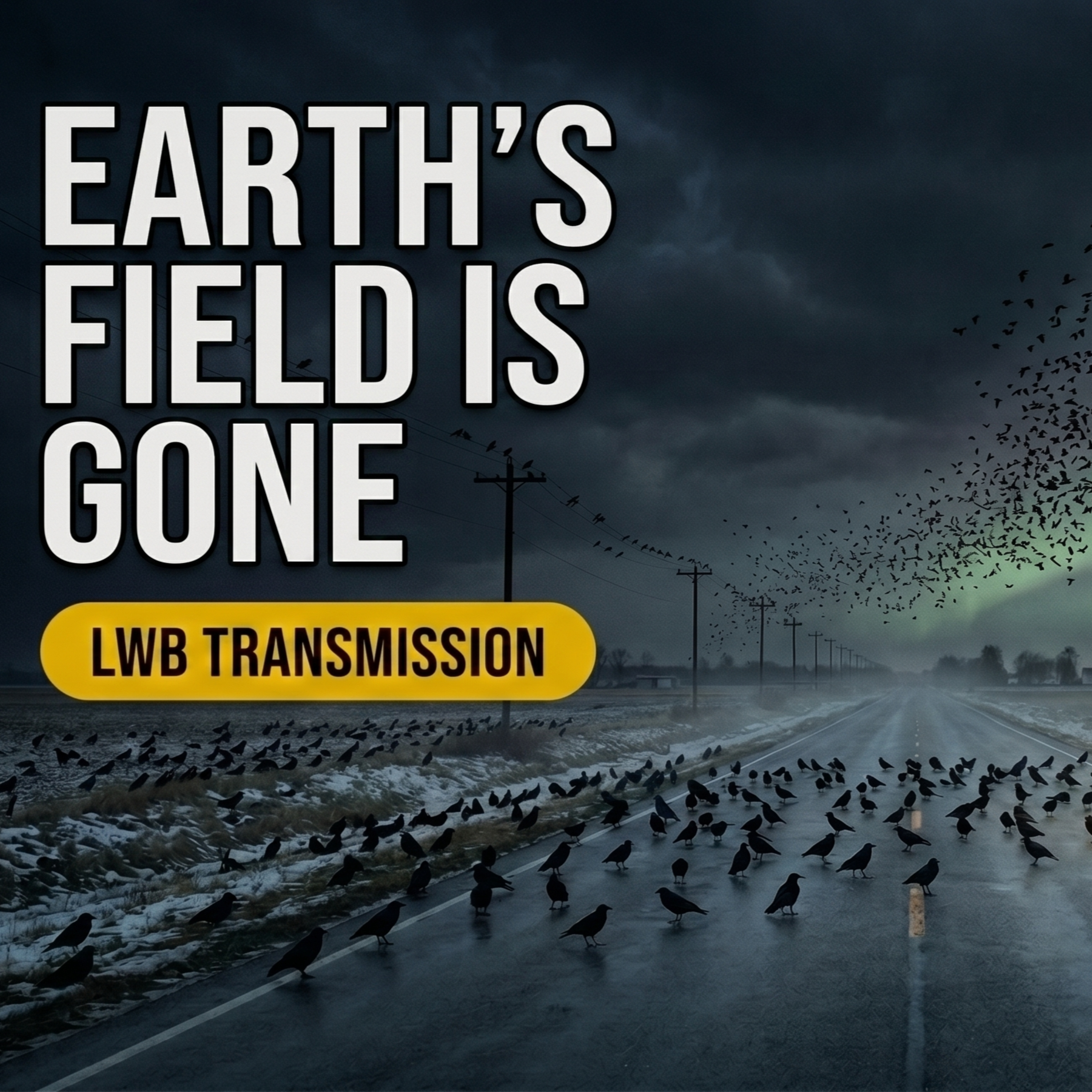 You're Listening to the Radio During the First Global Magnetic Silence | Emergency Broadcast episode artwork