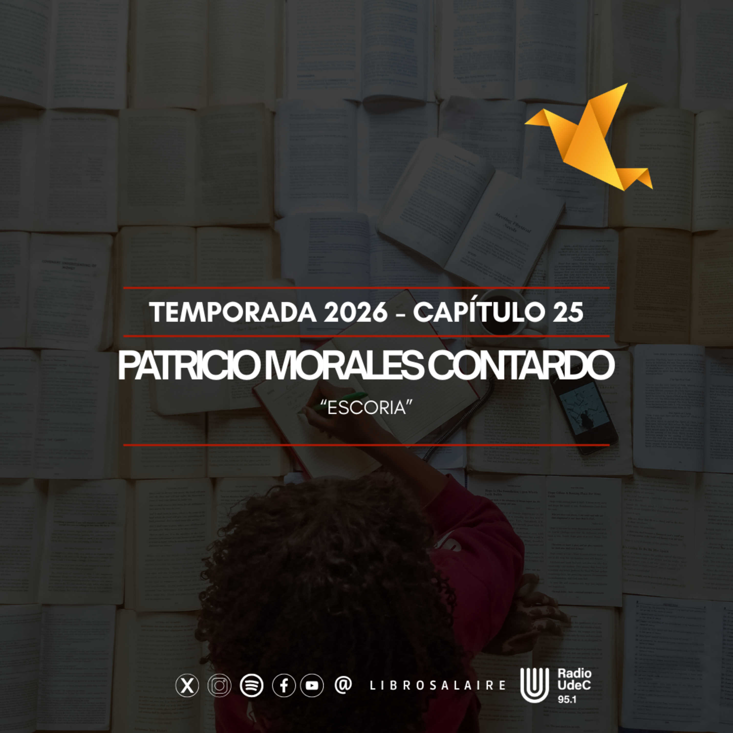 Portada de Libros al Aire