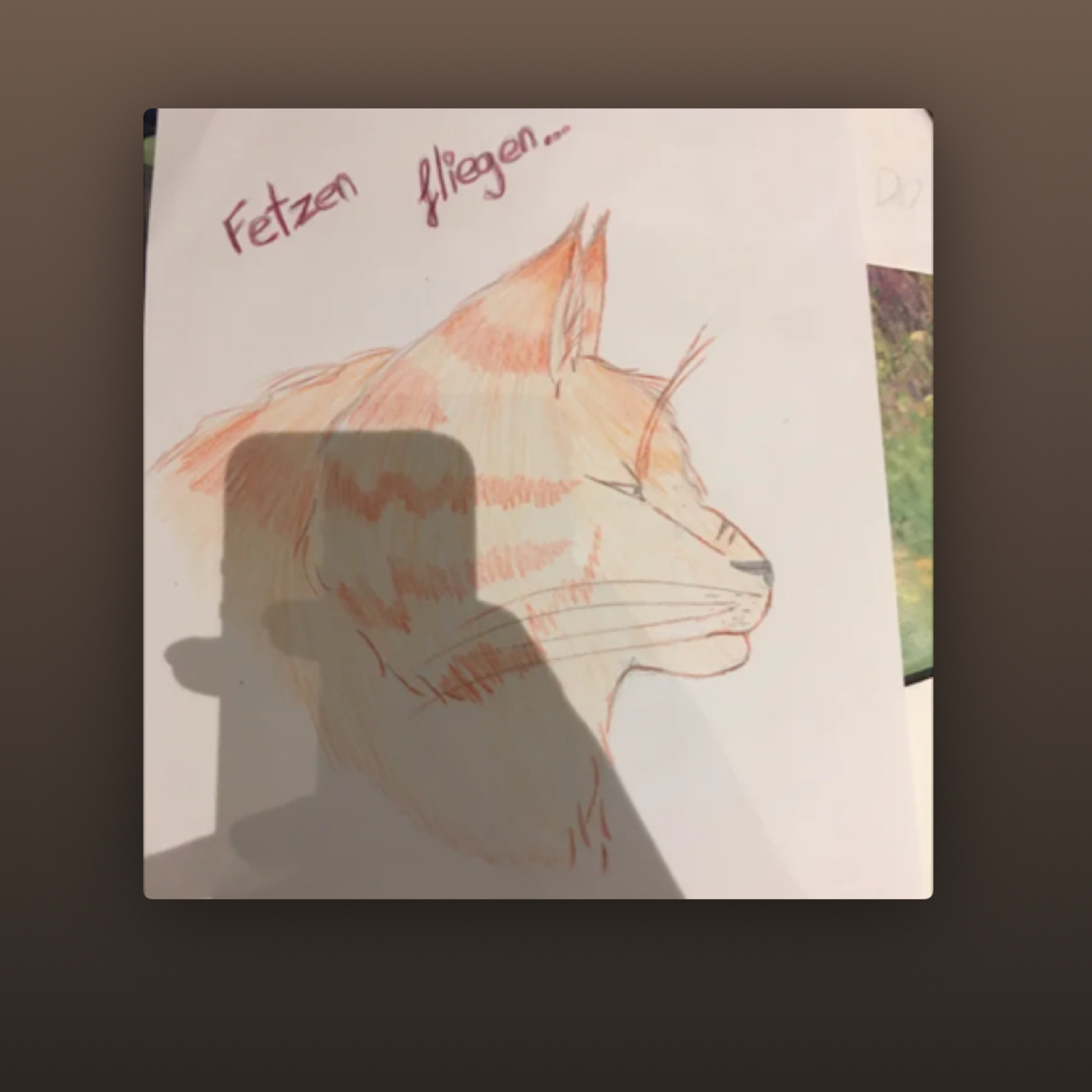 Feuerlicht episode artwork