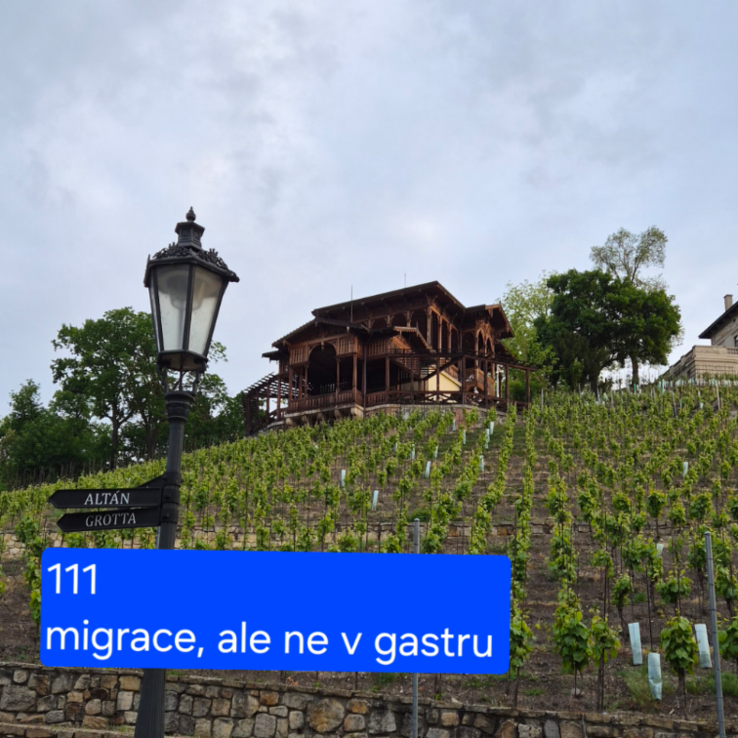 111 migrace, ale ne v gastru