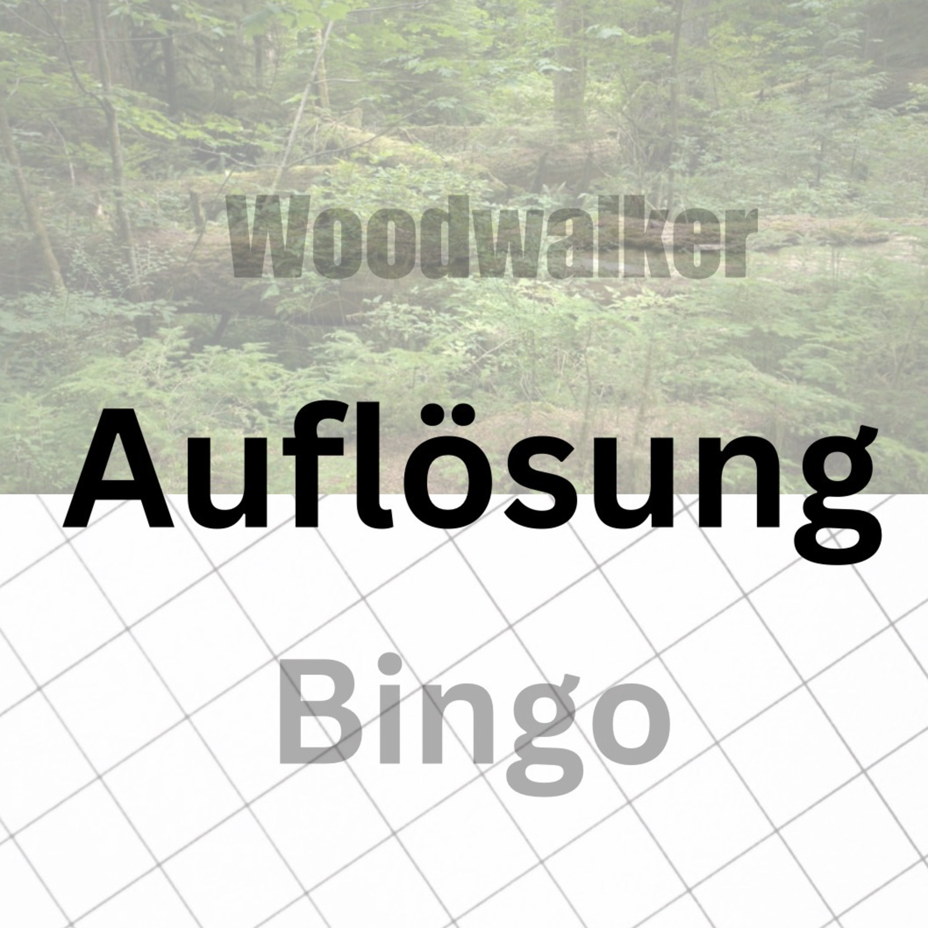 Folge:18 woodwalker Bingo Auflösung  episode artwork