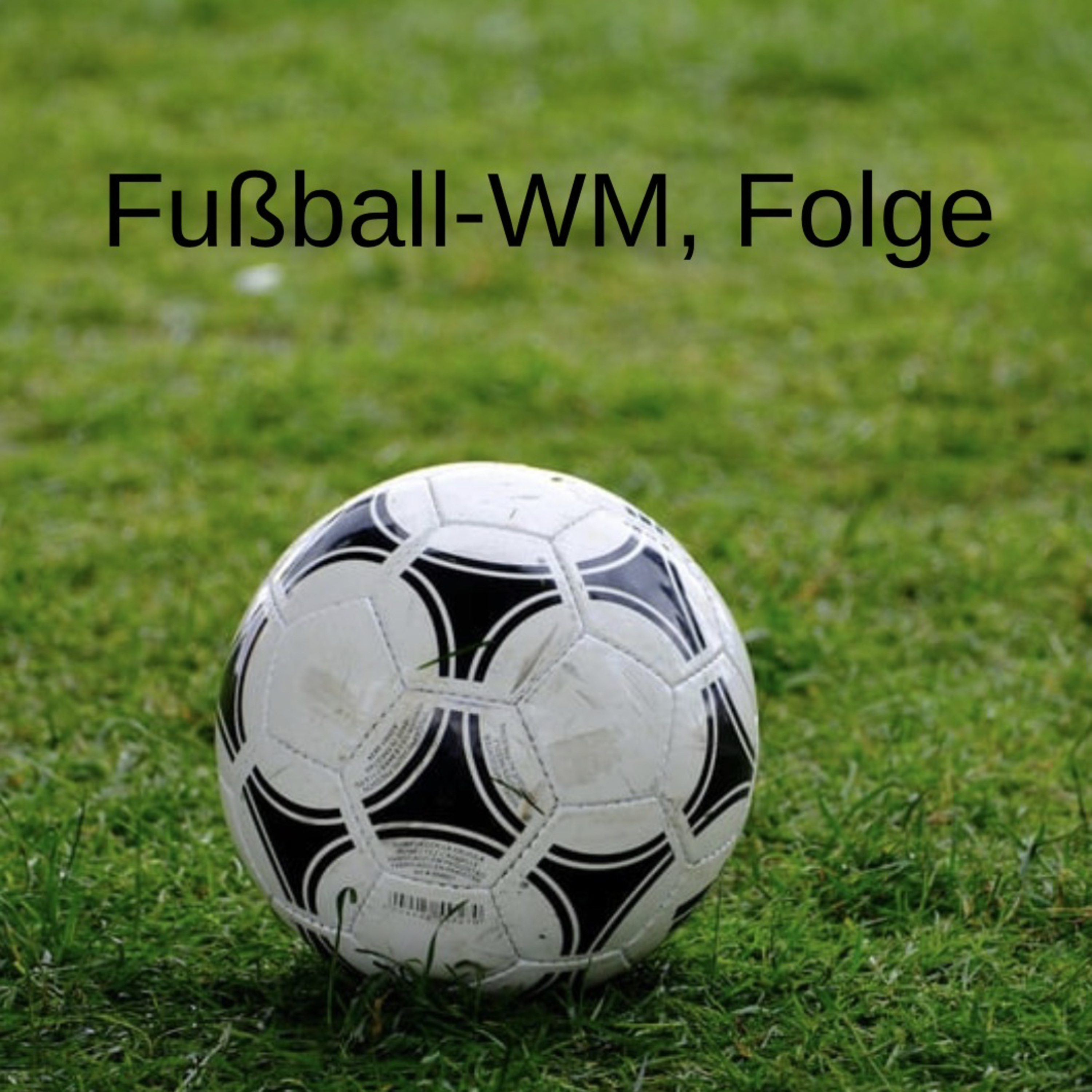 Folge: 20 fußball-WM, Folge episode artwork
