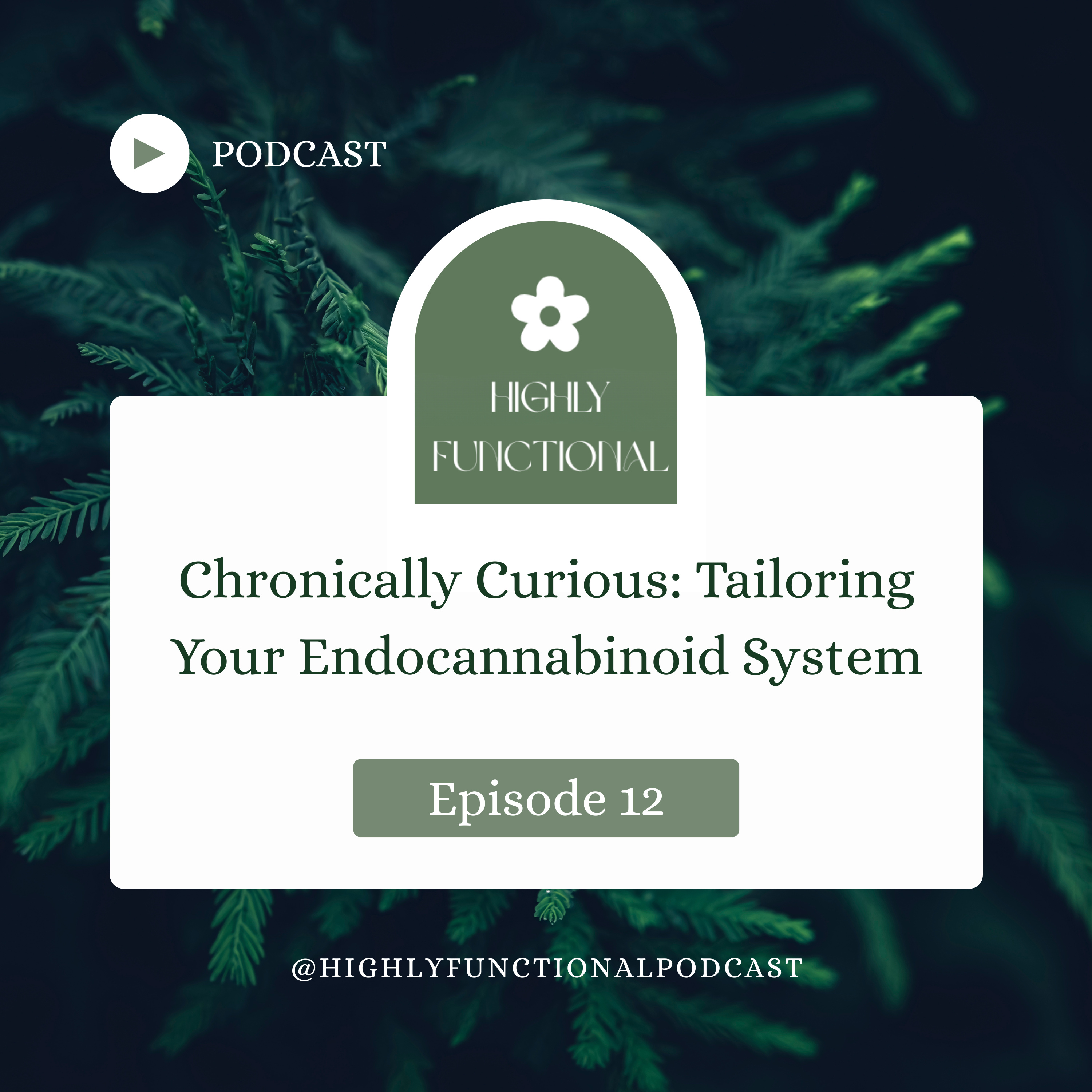 12. Chronically Curious: Tailoring Your Endocannabinoid System episode artwork