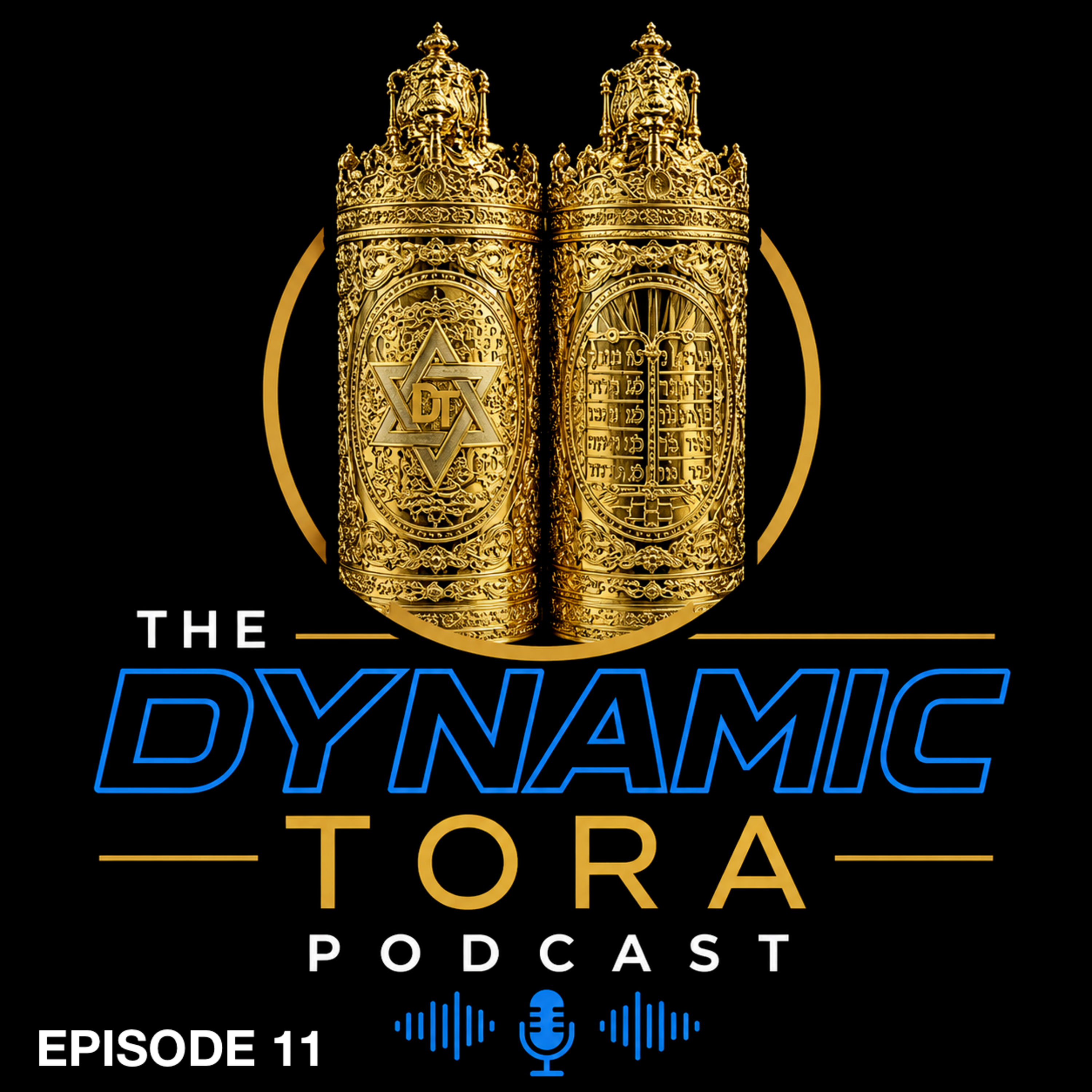 Episode 11 - Defining Sinat Chinam: Tisha BeAv Special episode artwork