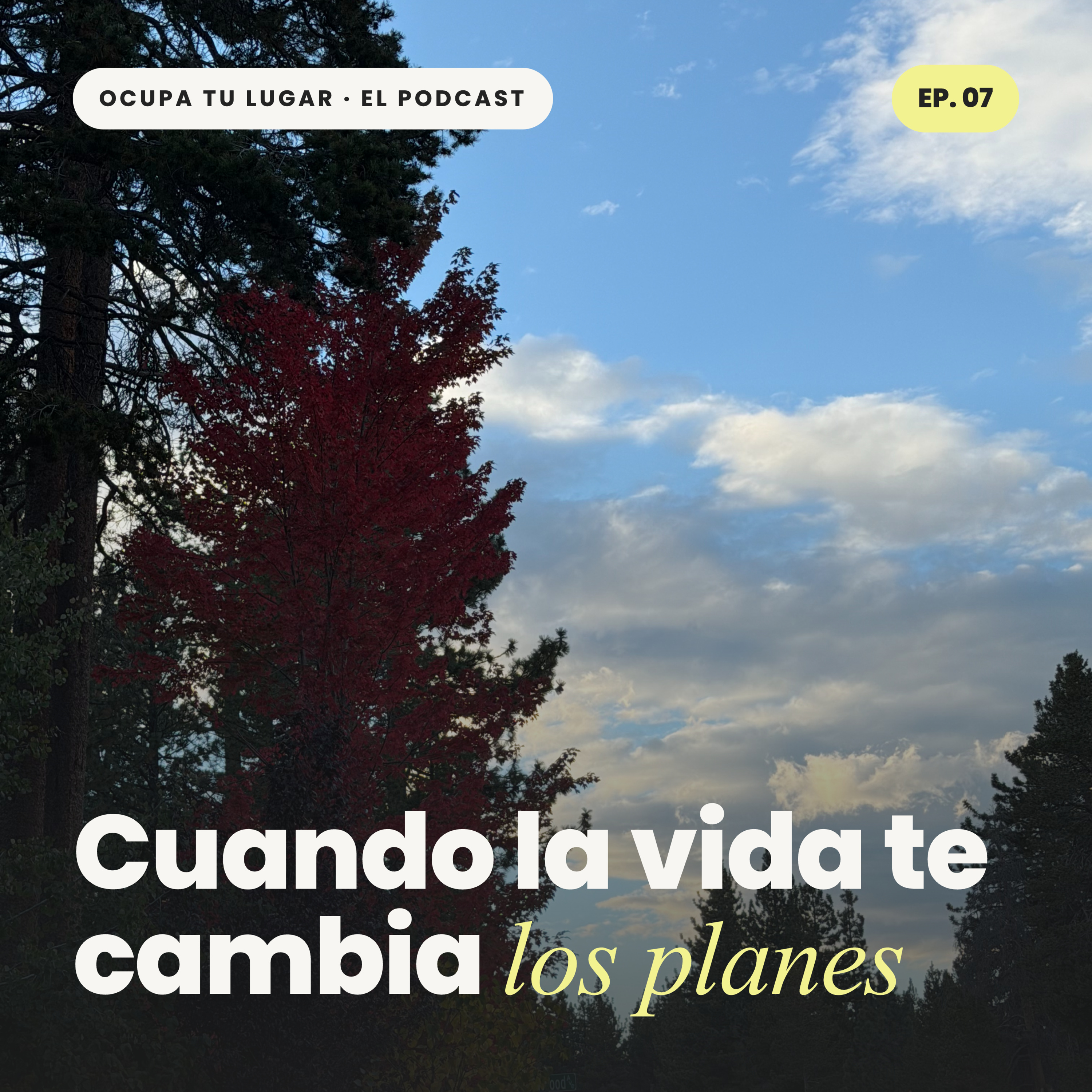 Portada de Ocupa Tu Lugar