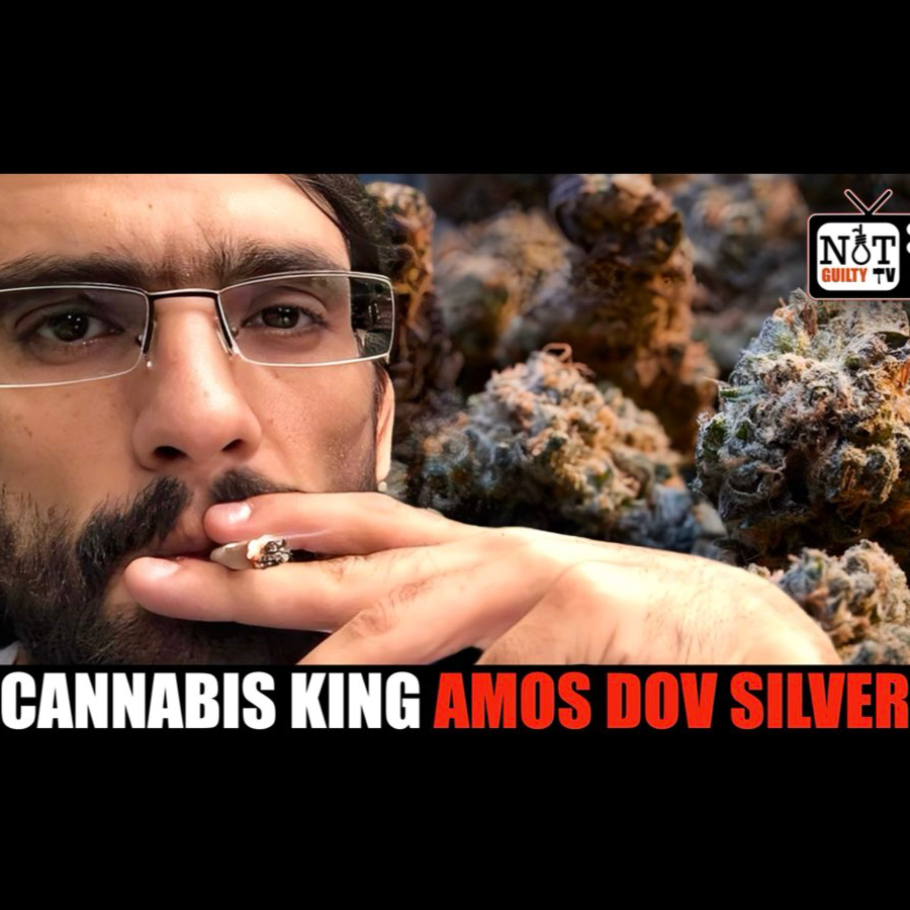 Israel's Most Wanted Cannabis King: Amos Dov Silver episode artwork