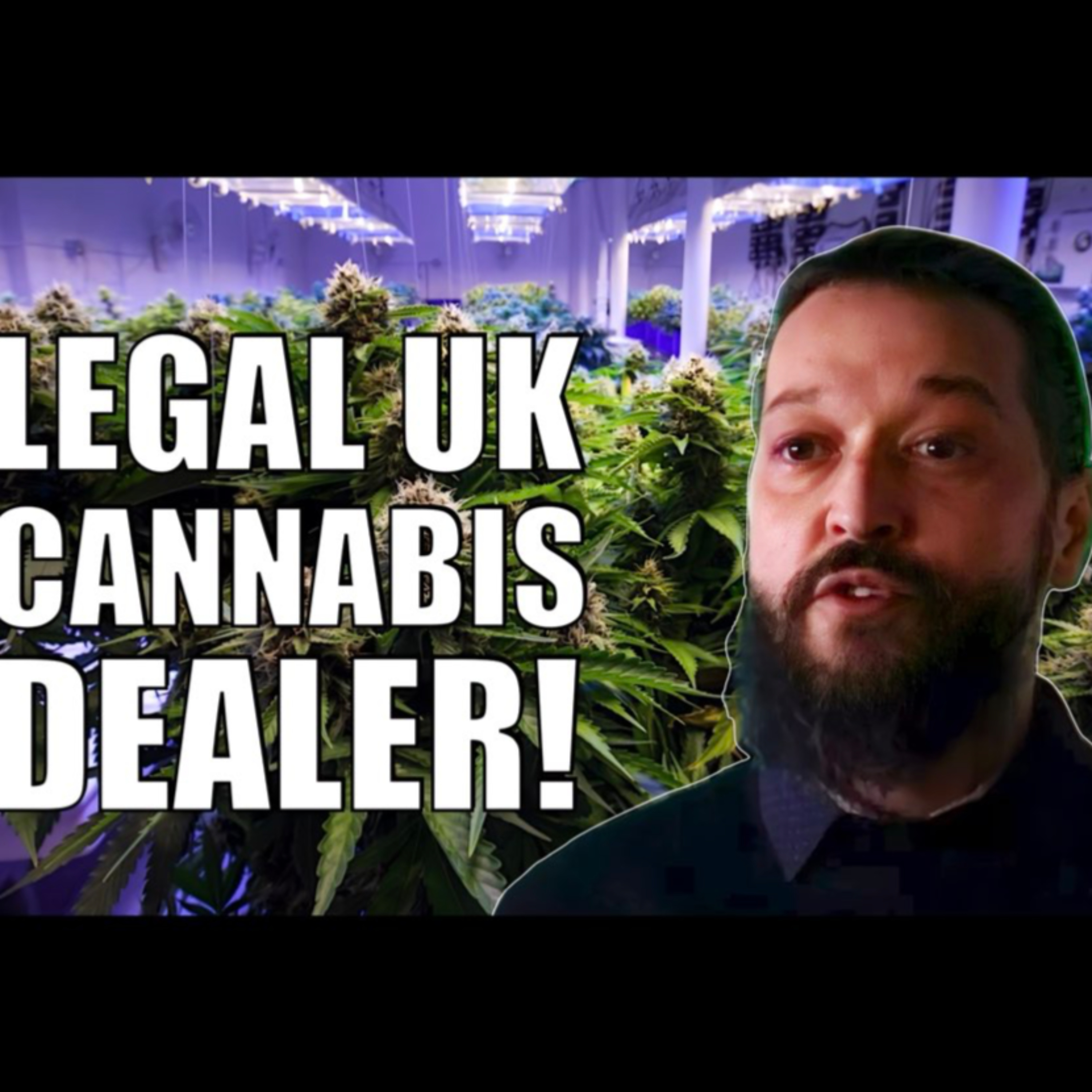 The Teesside Cannabis Club: From Street Smoker to Activist episode artwork