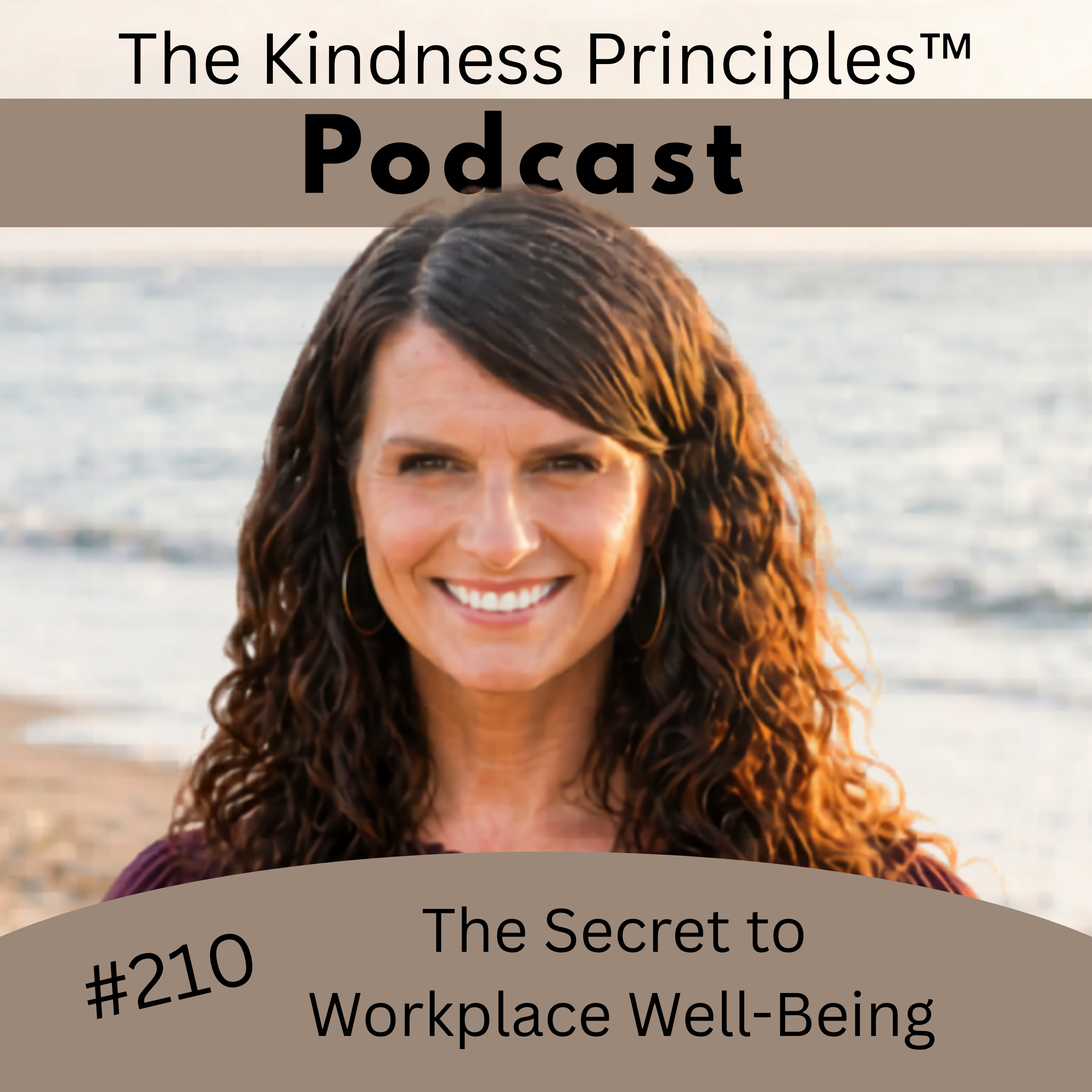 #210 The Secret to Workplace Well-Being episode artwork
