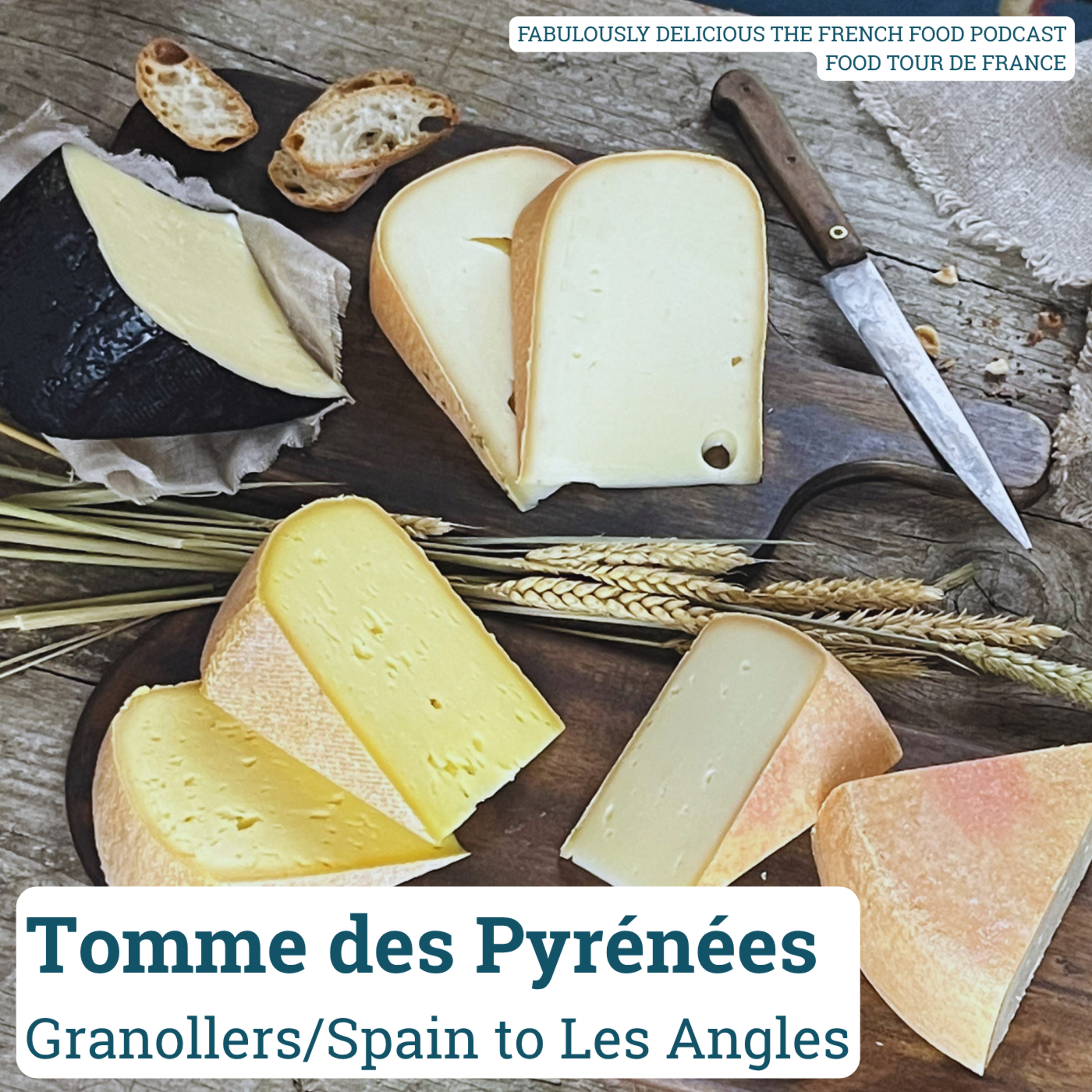 Tomme des Pyrénées episode artwork