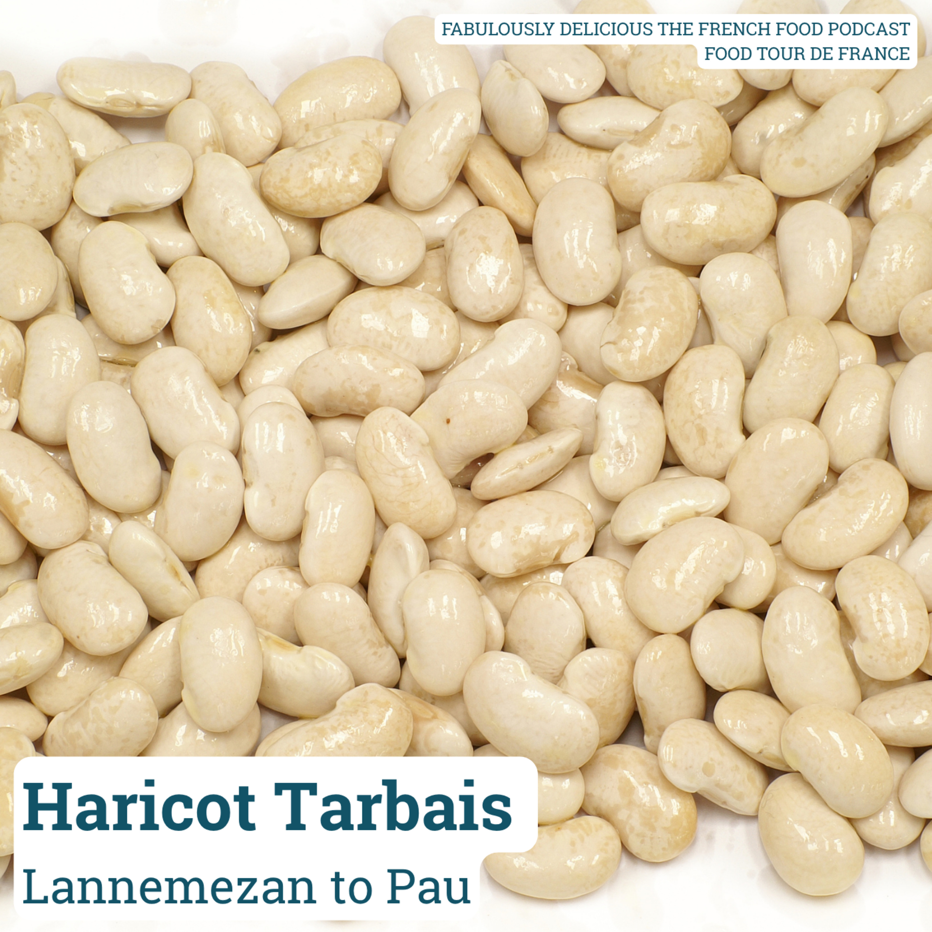 Haricot Tarbais: The King of French Beans  episode artwork