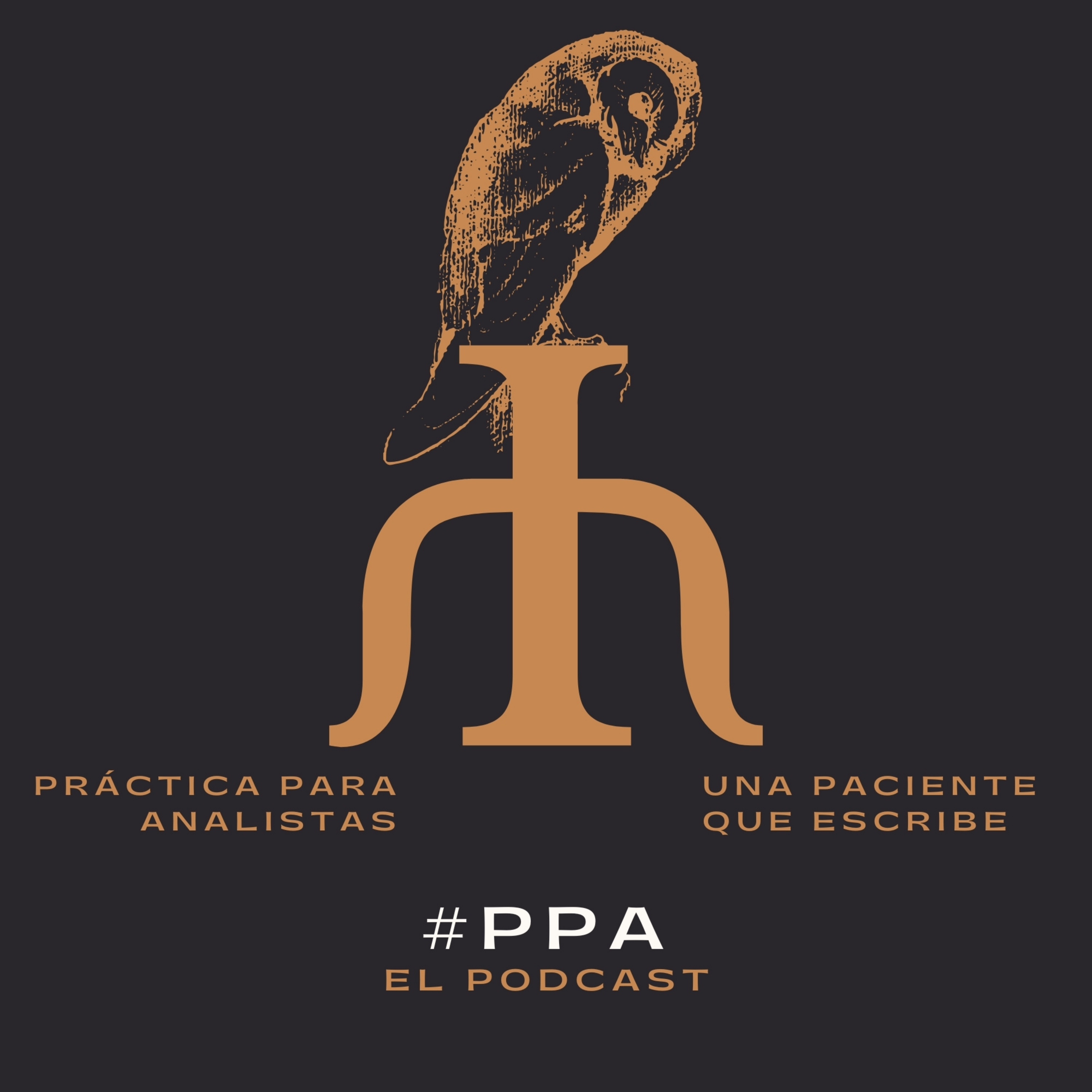Portada de Práctica para analistas: Un libro sobre psicoanálisis, escrito por una paciente.