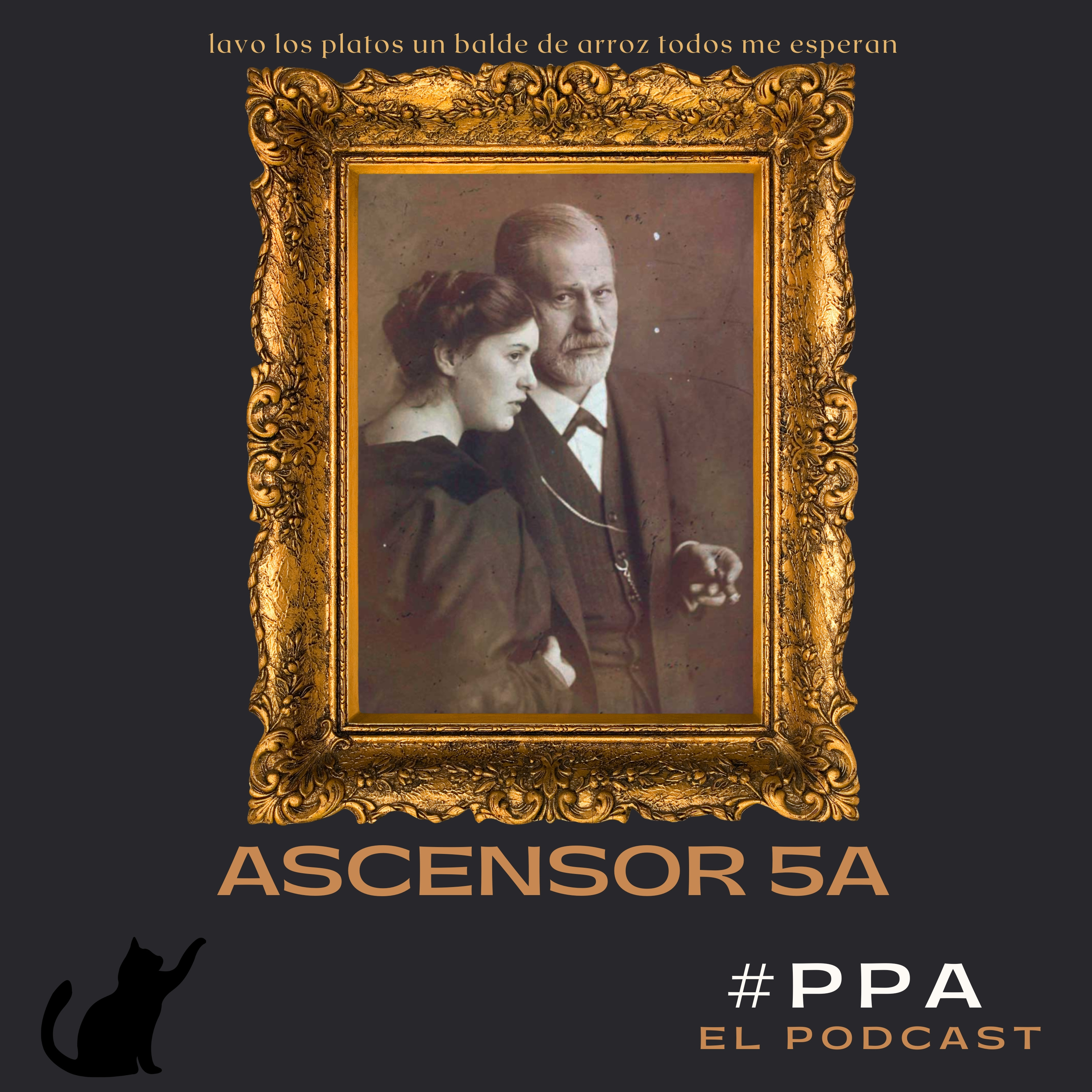 Portada de Práctica para analistas: Un libro sobre psicoanálisis, escrito por una paciente.