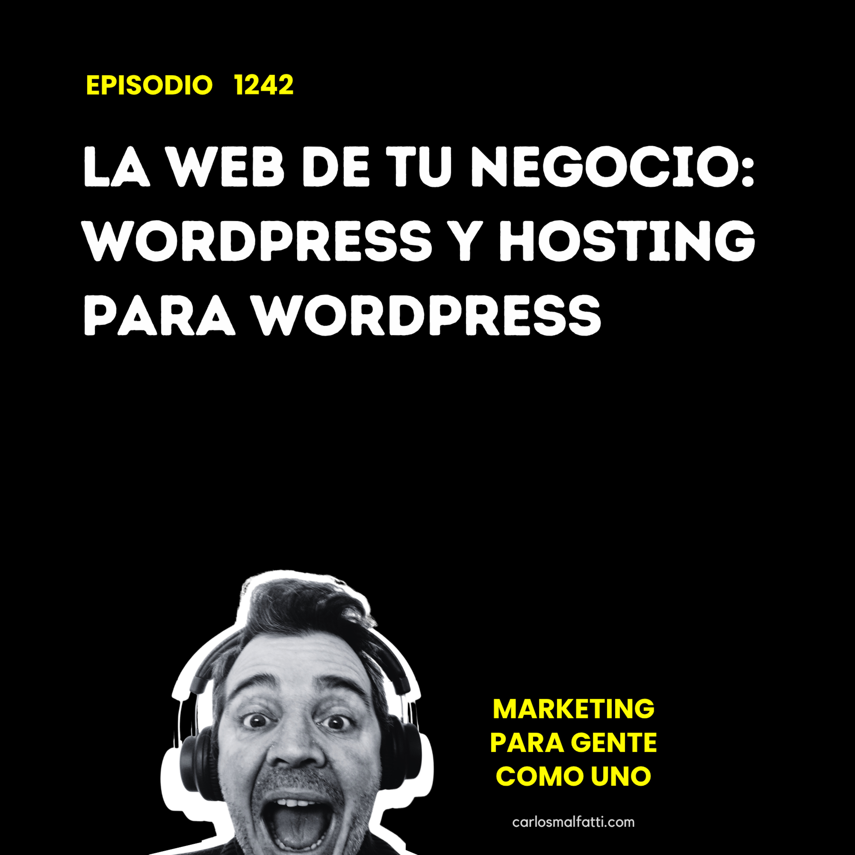 1242 La web de tu negocio: WordPress y hosting para WordPress. episode artwork