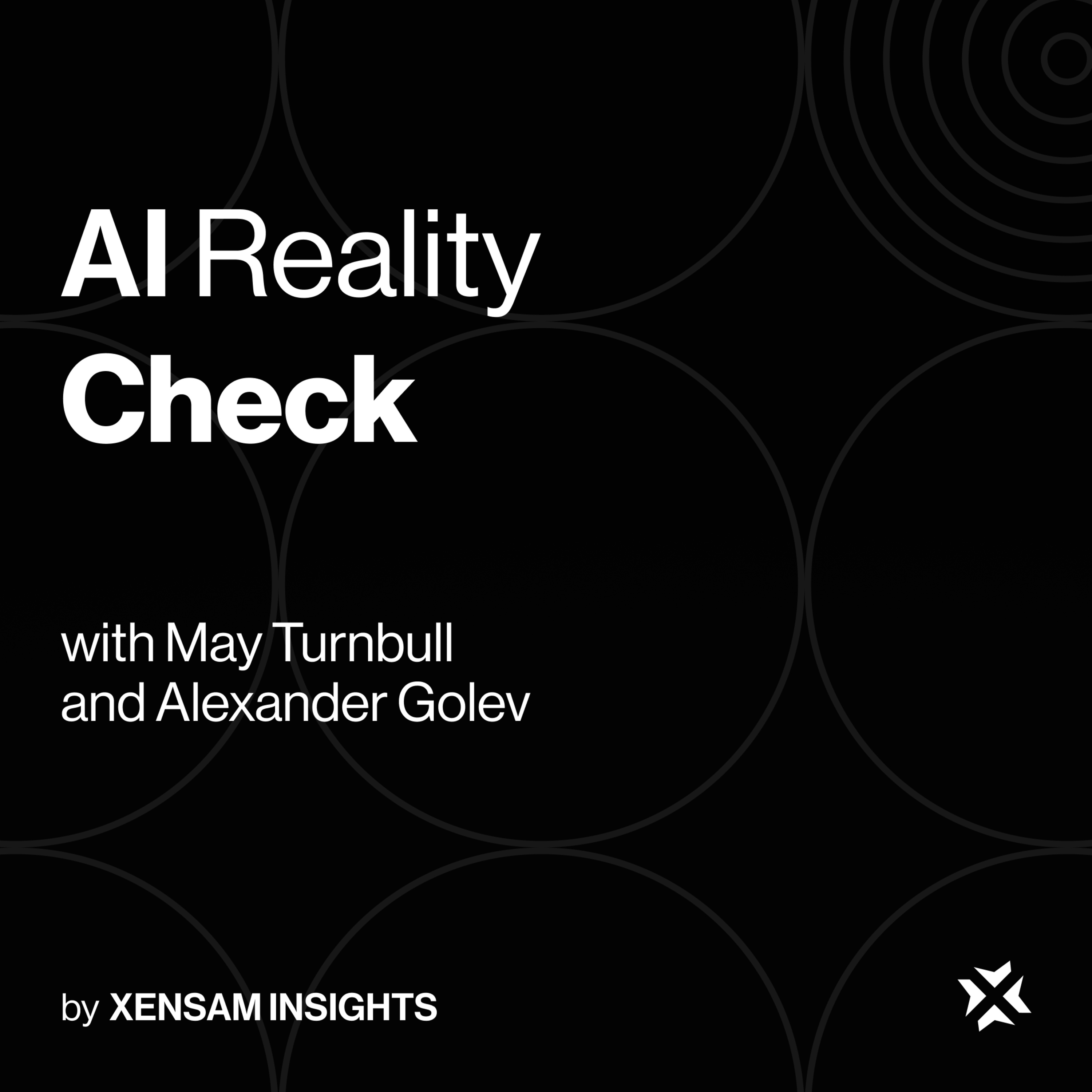 AI reality check episode artwork