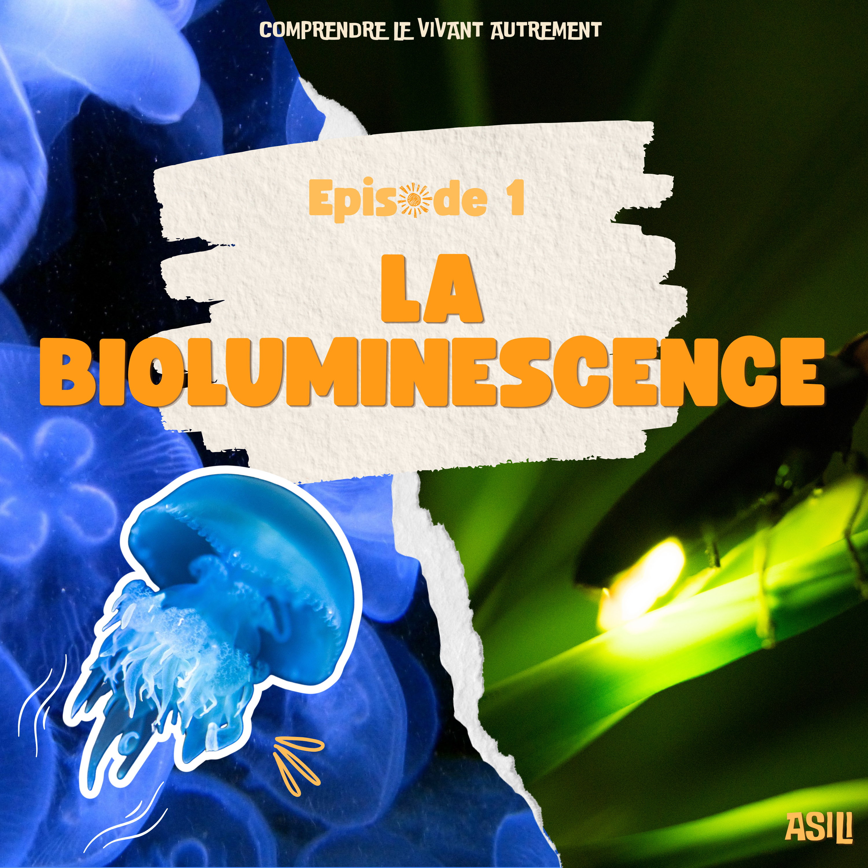 La Bioluminescence episode artwork