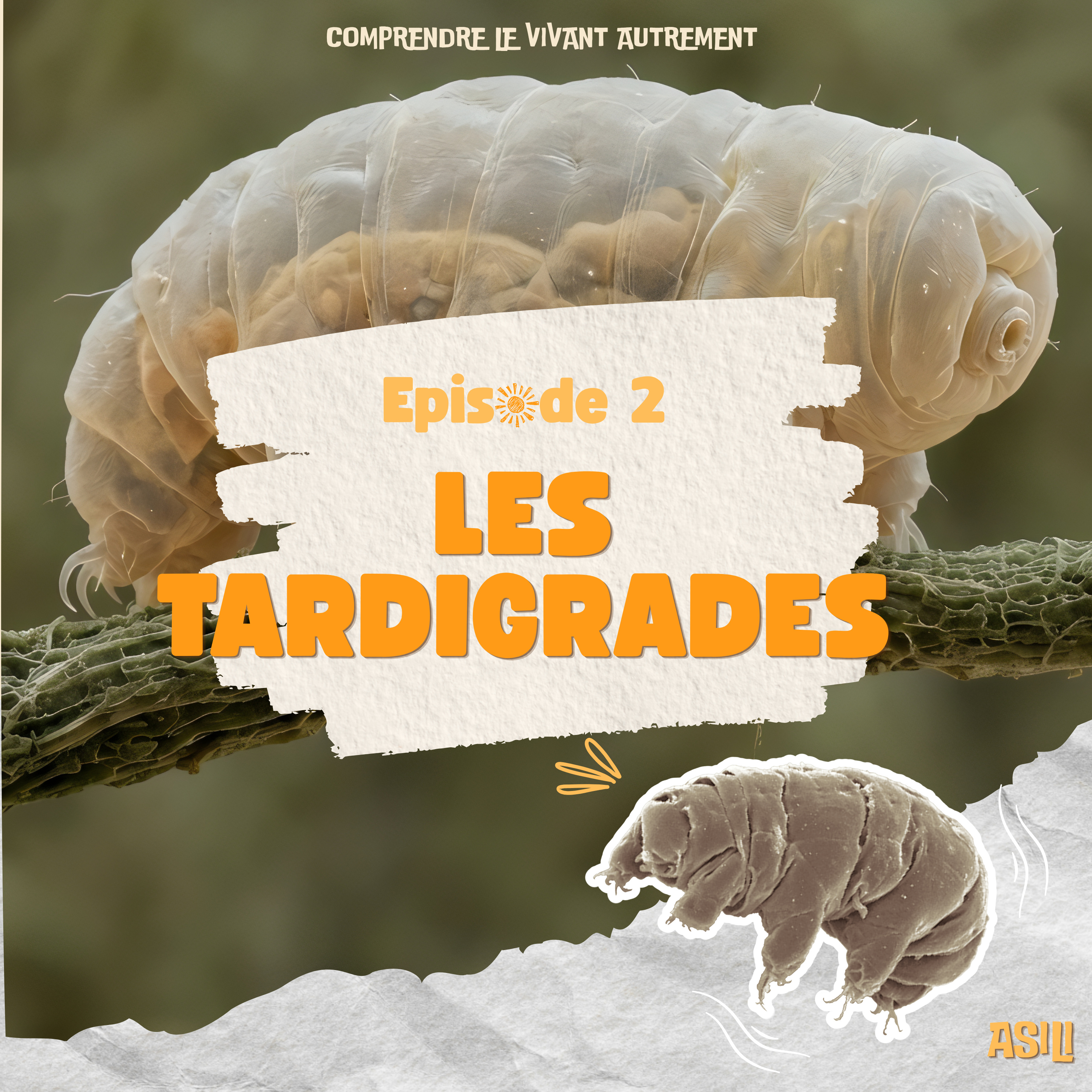 Les Tardigrades episode artwork