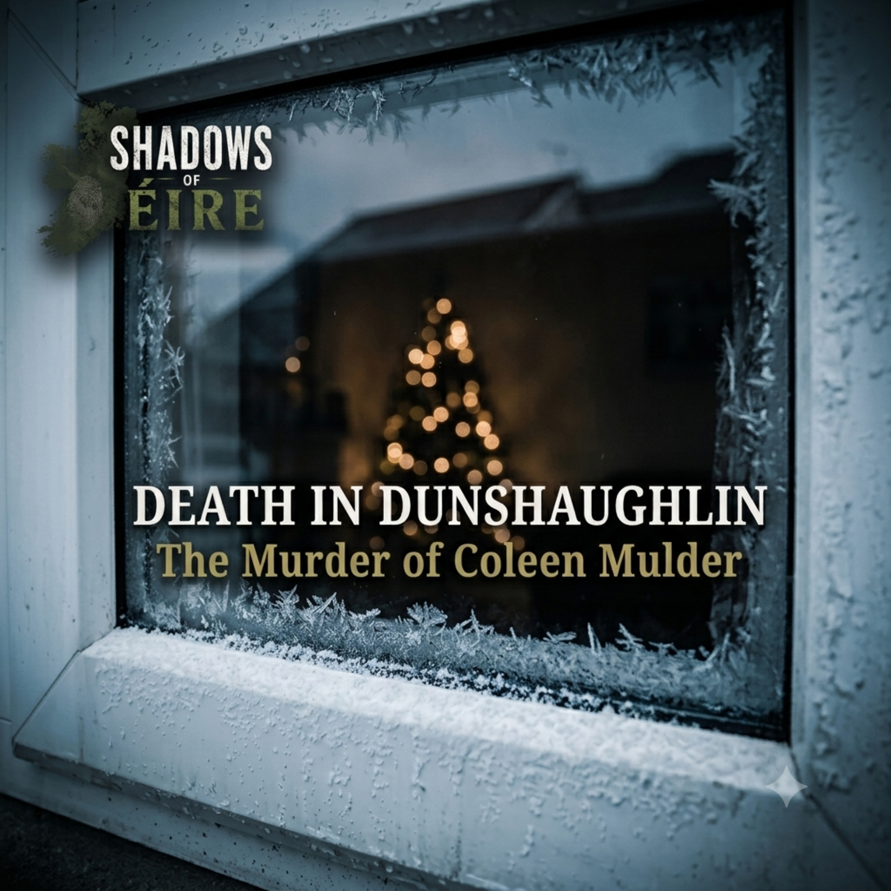 8. Death in Dunshaughlin: The murder of Coleen Mulder