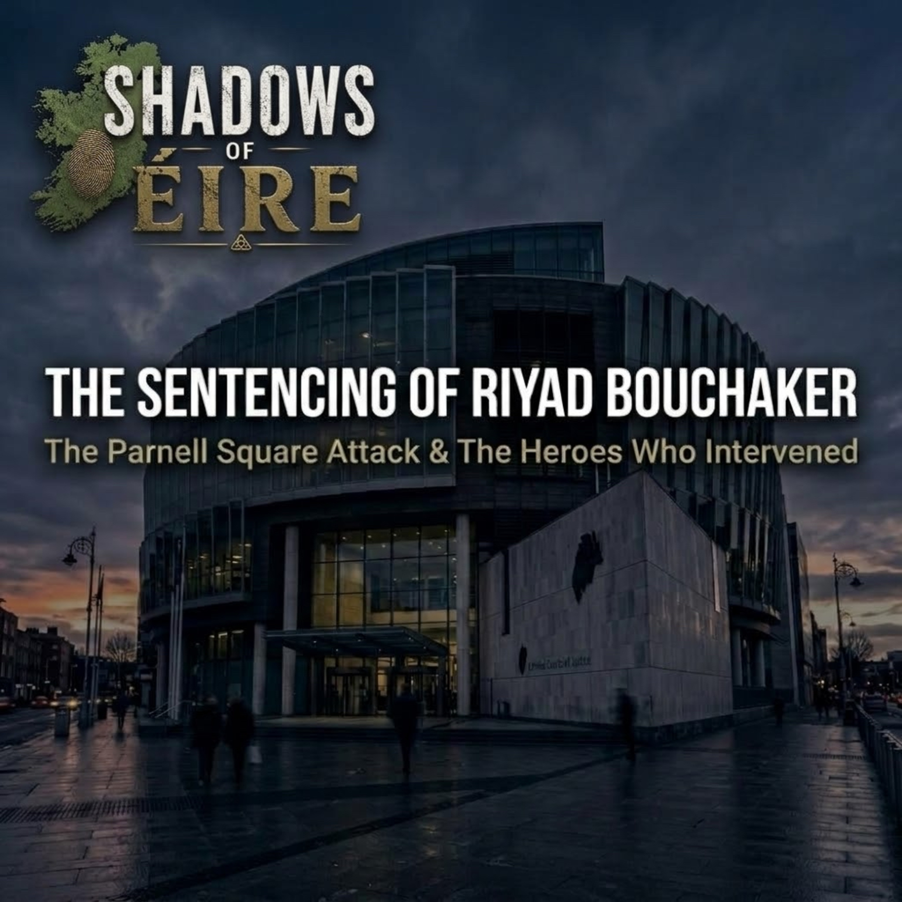25. The Sentencing of Riyad Bouchaker: The Parnell Square Attack & The Heroes Who Intervened episode artwork