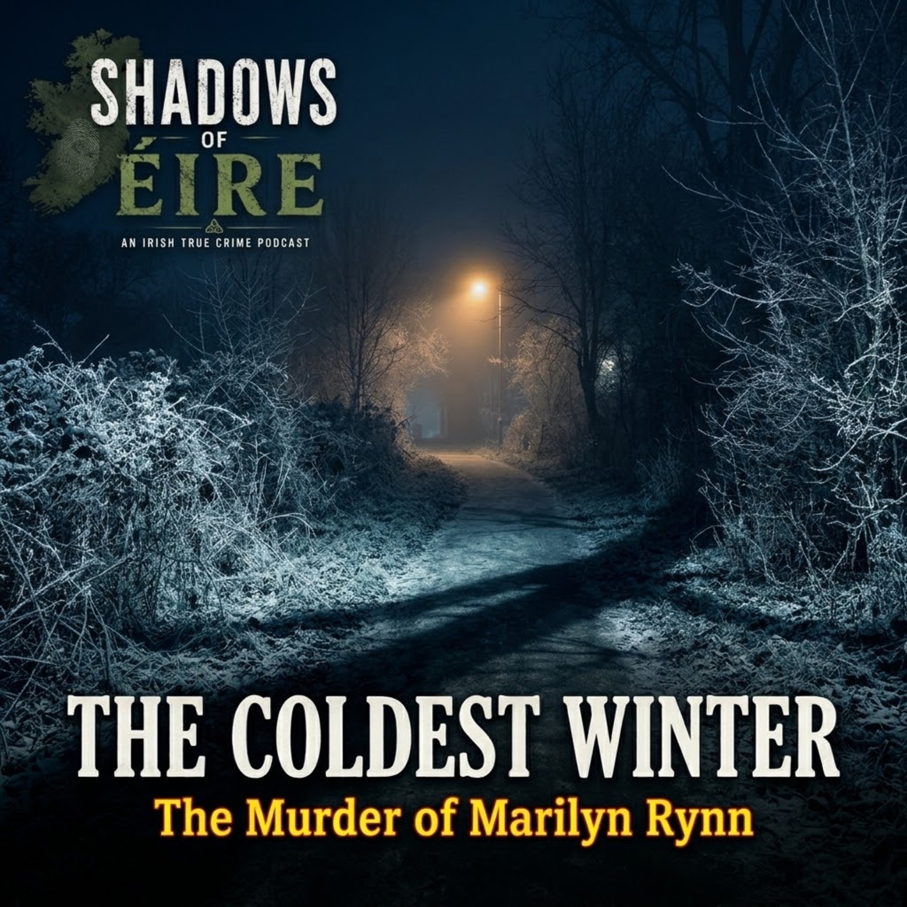 27. The Coldest Winter: The Murder of Marilyn Rynn. episode artwork