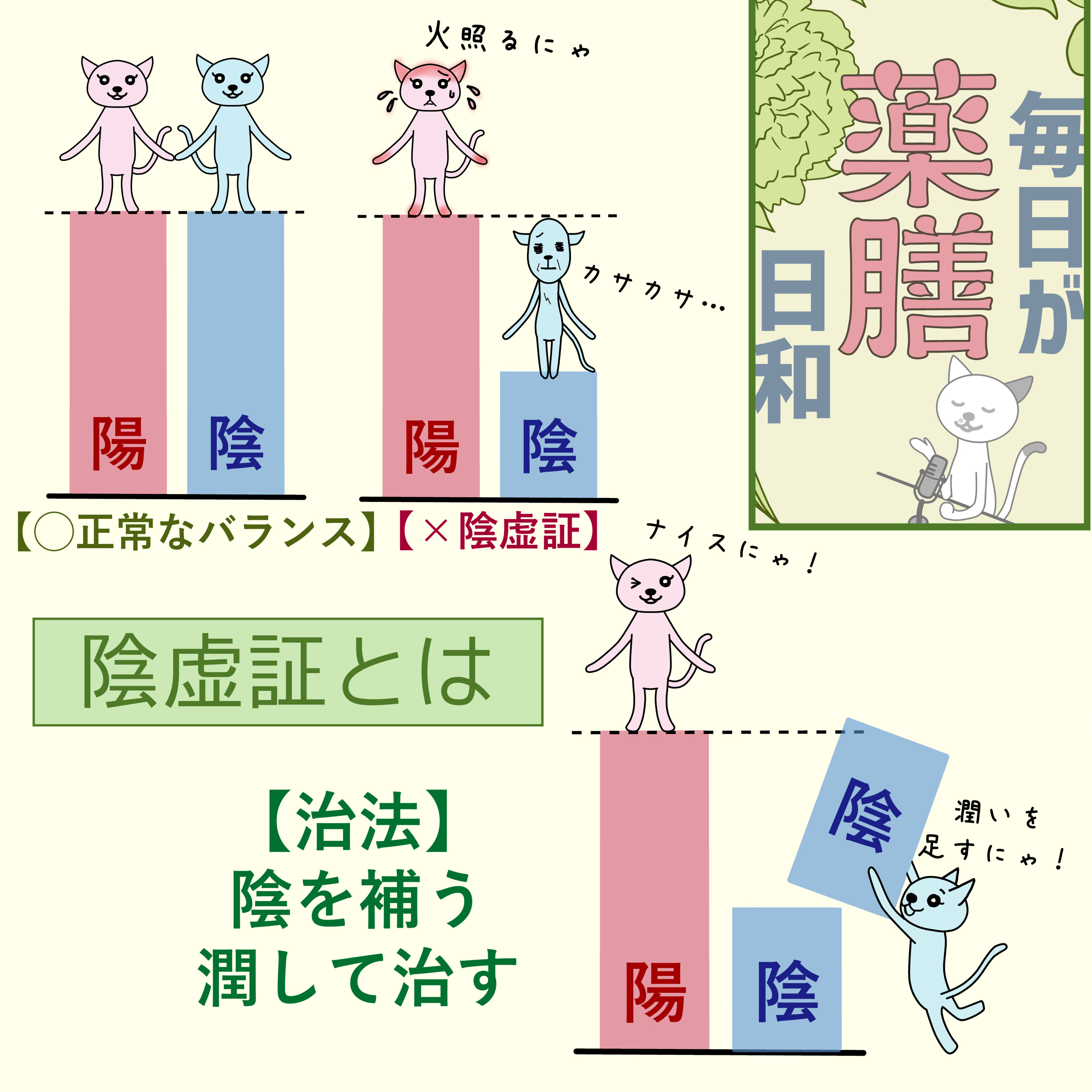 #14 陰虚証を徹底解説!ほてりや寝汗のトラブル、陰が不足しているのかも? episode artwork