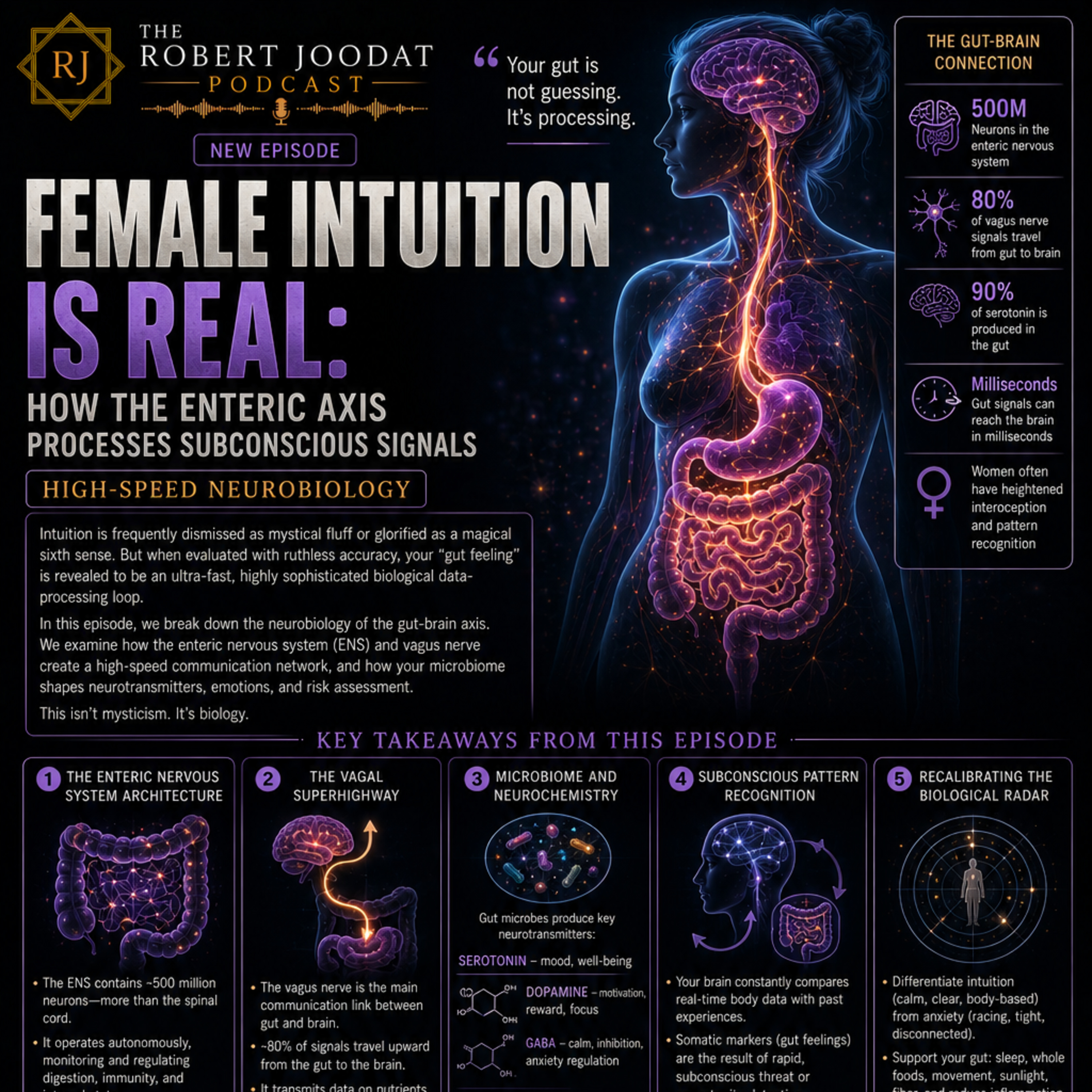 Female Intuition Is Real: How the Enteric Axis Processes Subconscious Signals ​🧬​🧭 episode artwork