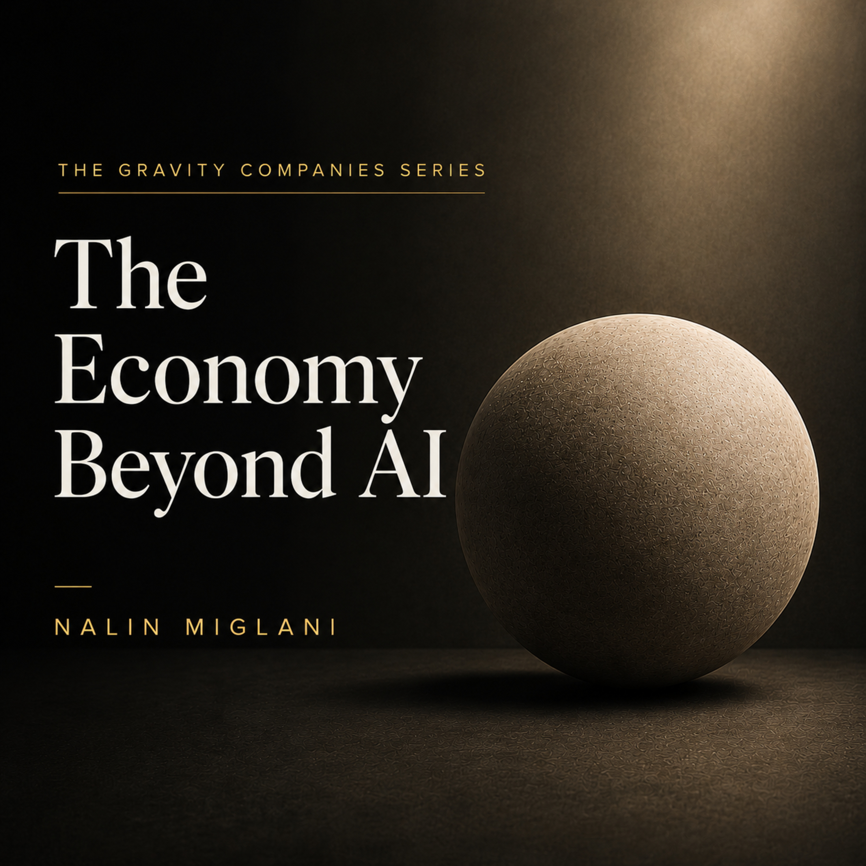 The Economy Beyond AI - The Gravity Companies Series - Episode 1 episode artwork
