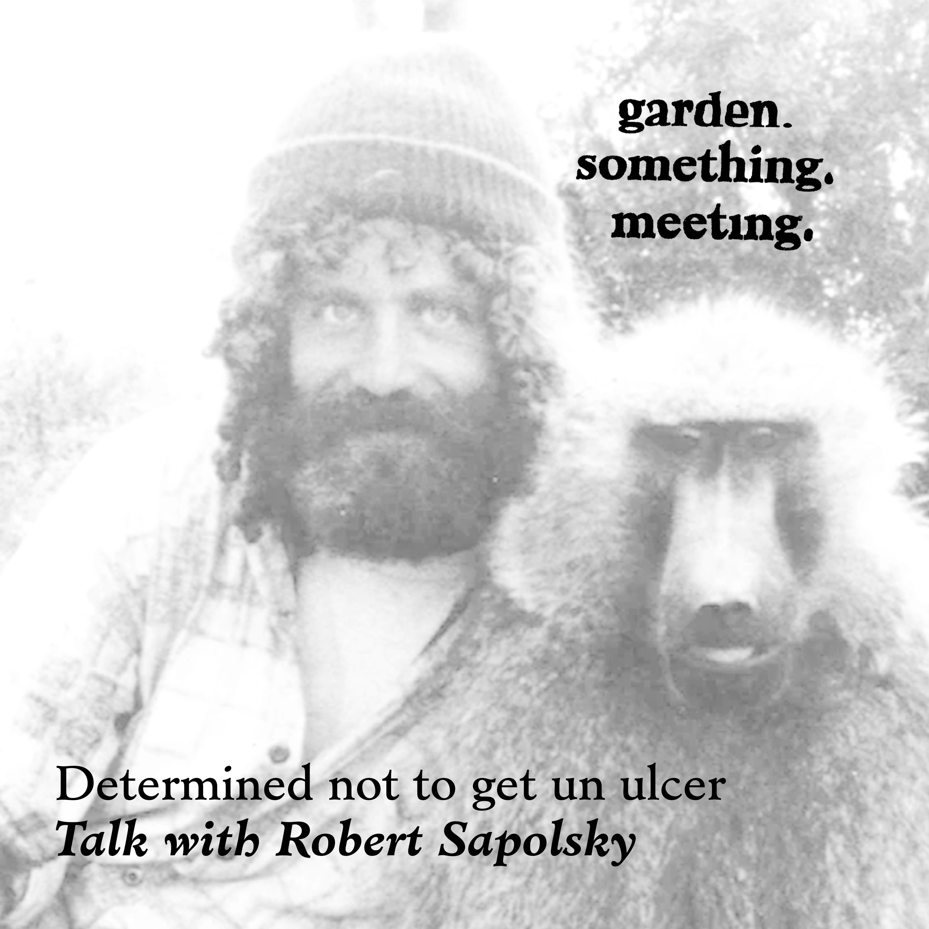Determined not to get an ulcer. Talk with Robert Sapolsky. episode artwork