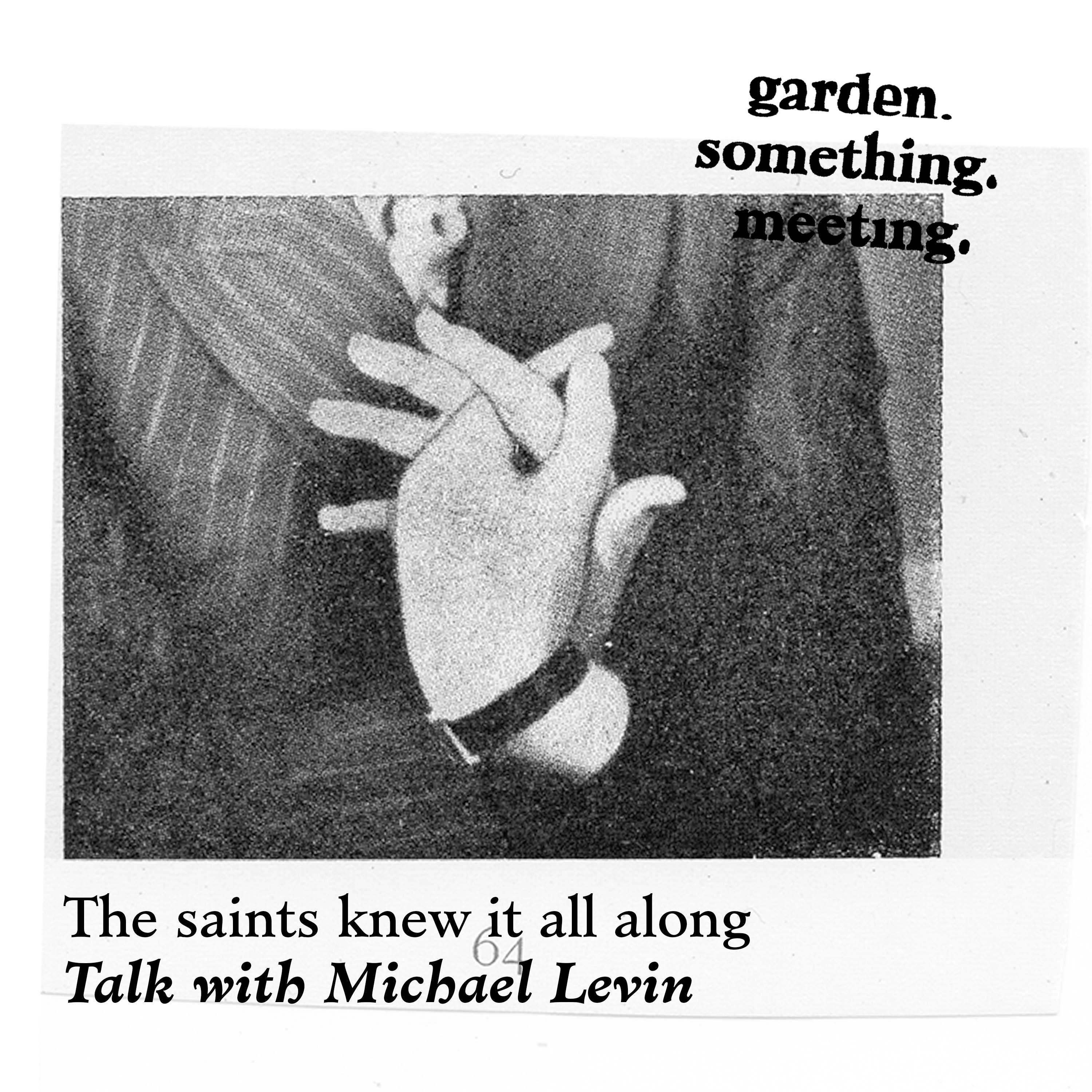 The saints knew it all along. Talk with Michael Levin. episode artwork