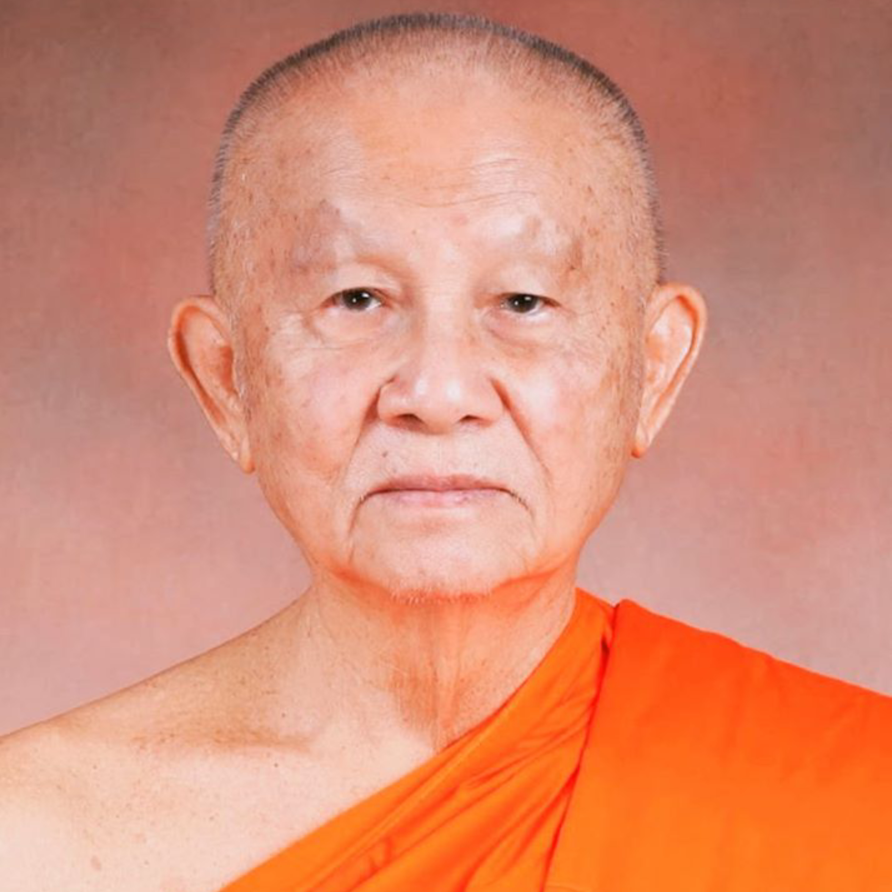 8. ข้อวินิจฉัยสภาวธรรมและพระปริยัติ: อัตตลักษณะแห่งพระนิพพานธาตุ และการปกป้องสัมมาทิฏฐิจากอุจเฉททิฐิ episode artwork